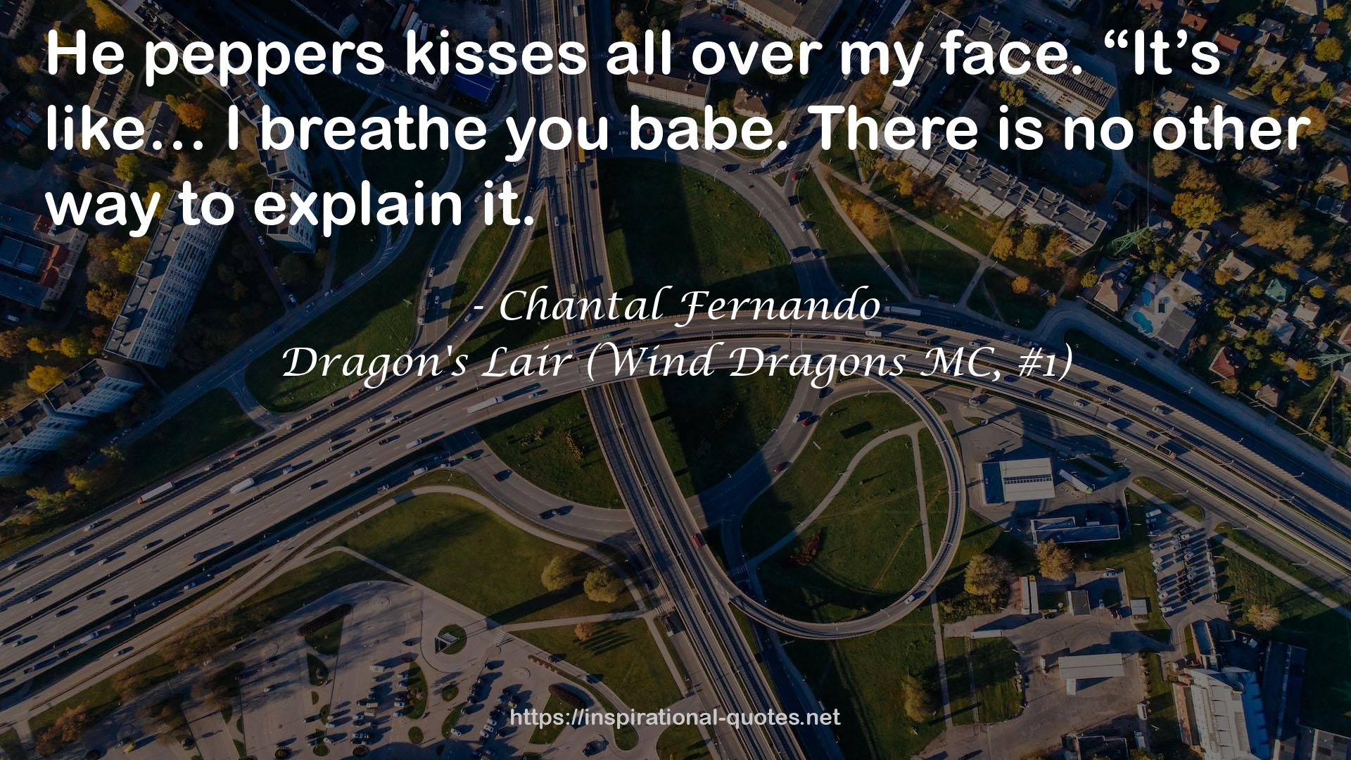 Dragon's Lair (Wind Dragons MC, #1) QUOTES