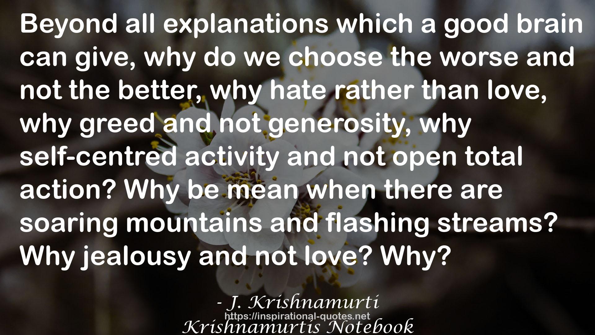 J. Krishnamurti QUOTES