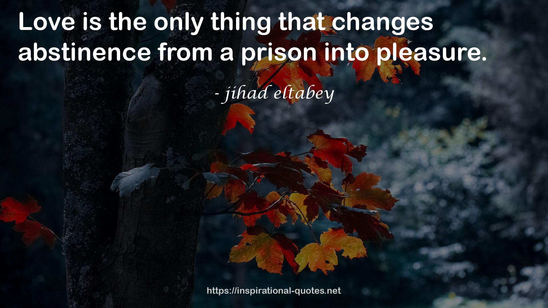 jihad eltabey QUOTES