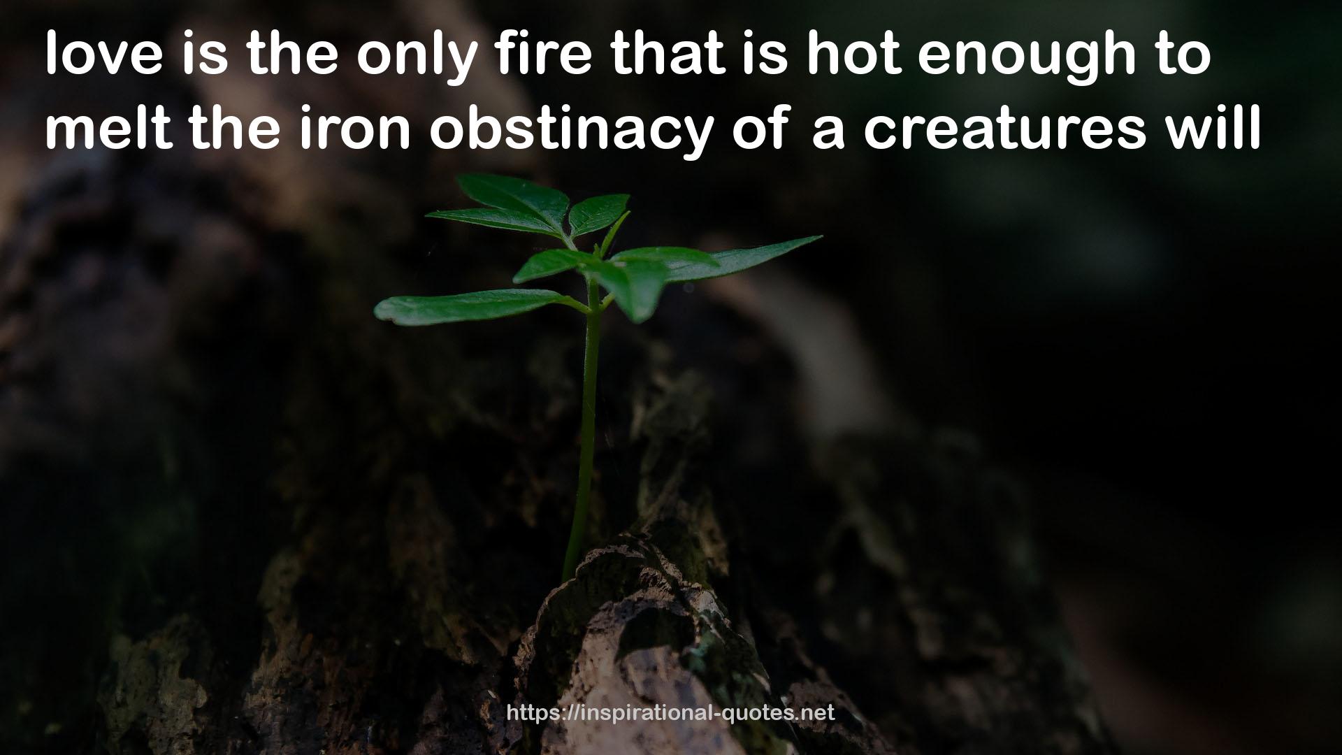 the iron obstinacy  QUOTES