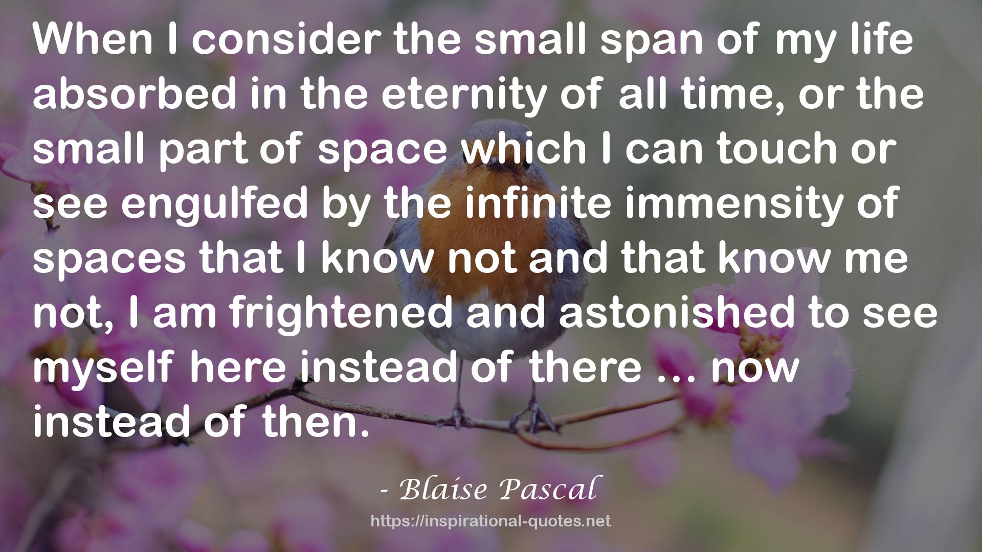 the infinite immensity  QUOTES