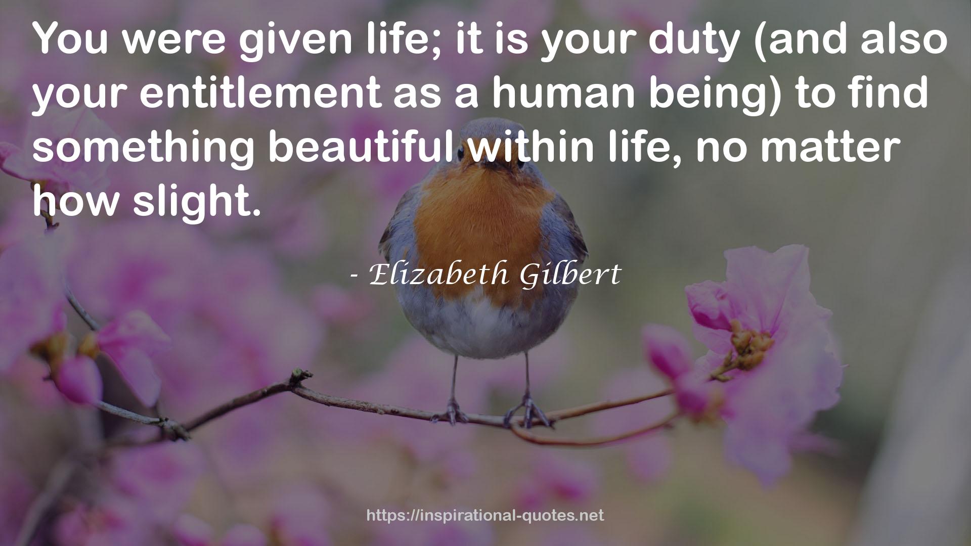 Elizabeth Gilbert QUOTES