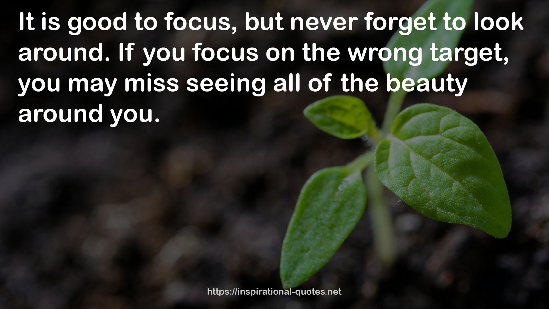 focus  QUOTES