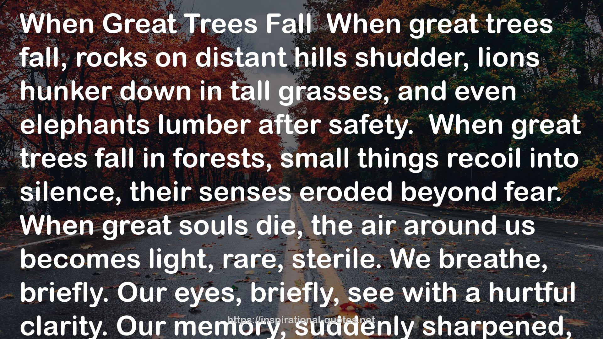 Great Trees  QUOTES