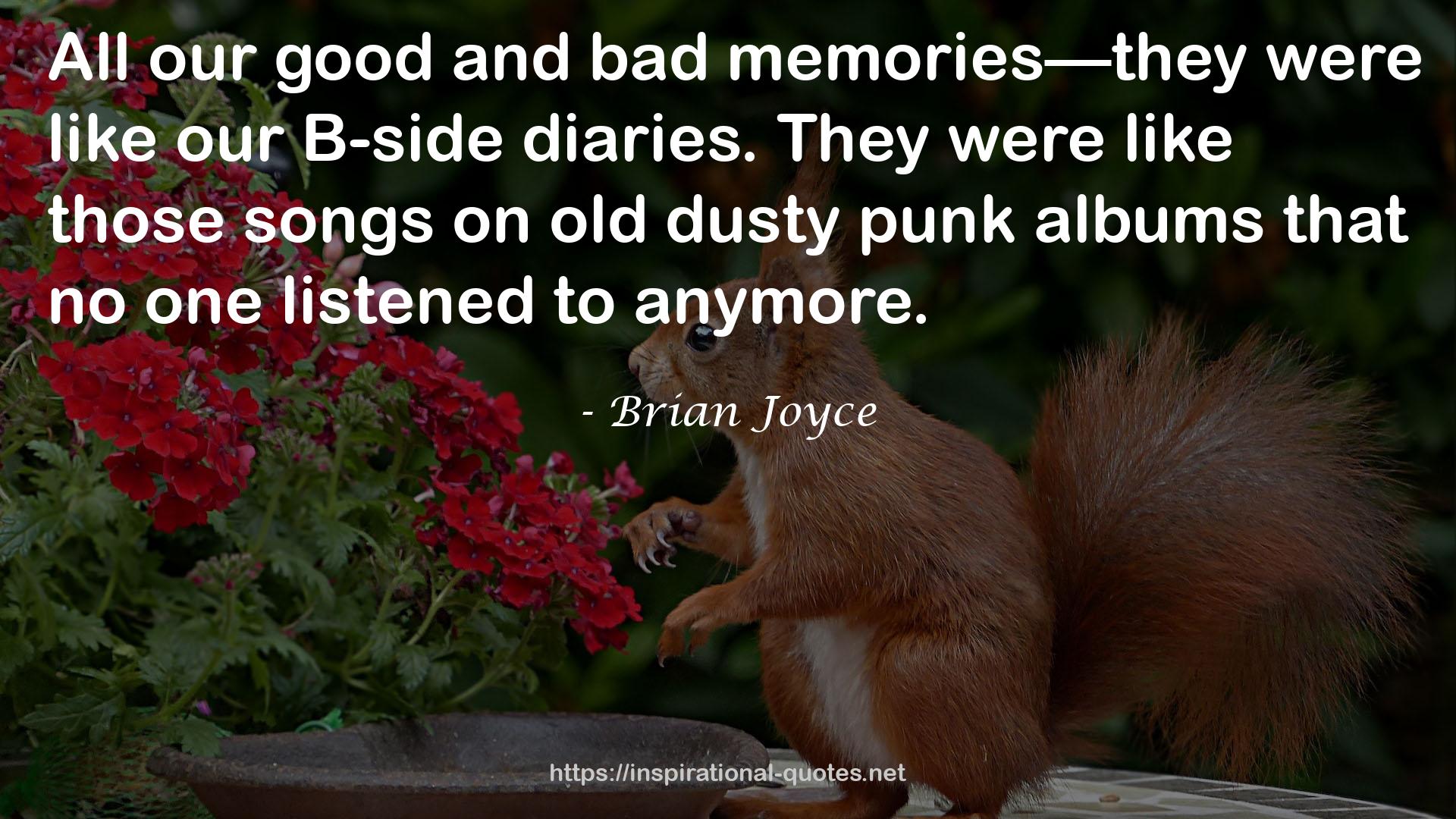 Brian Joyce QUOTES