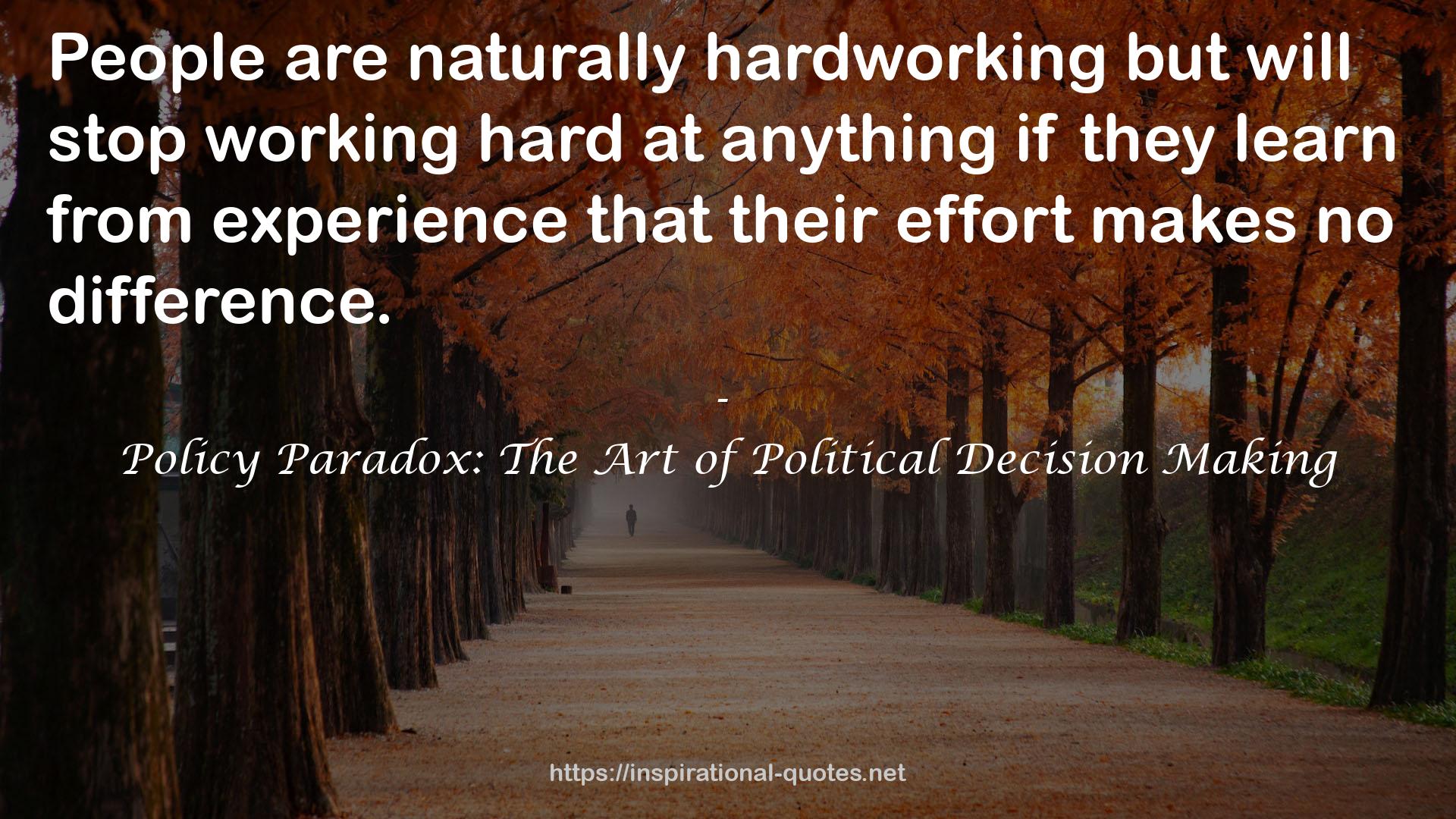 Policy Paradox: The Art of Political Decision Making QUOTES