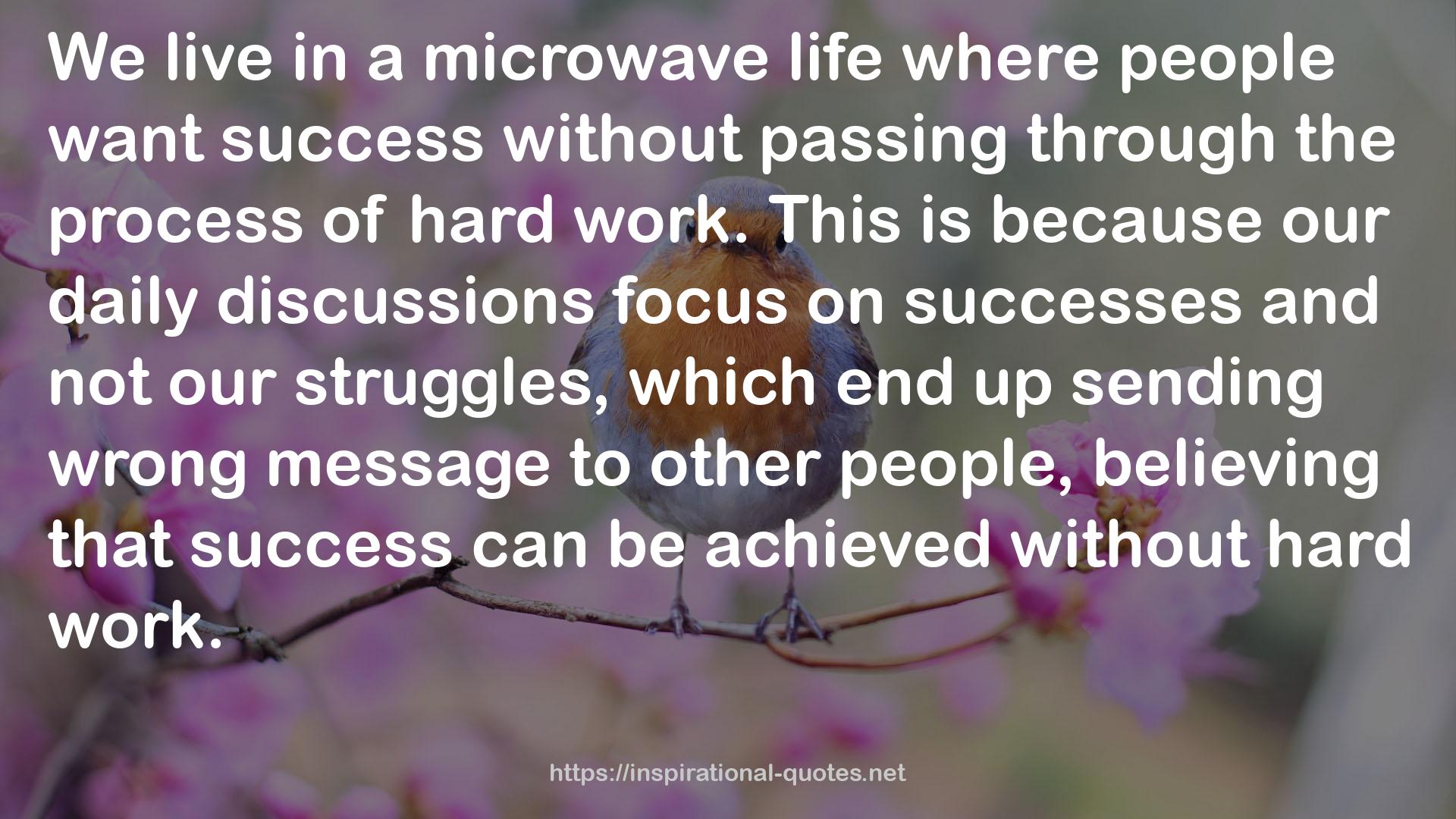 a microwave life  QUOTES