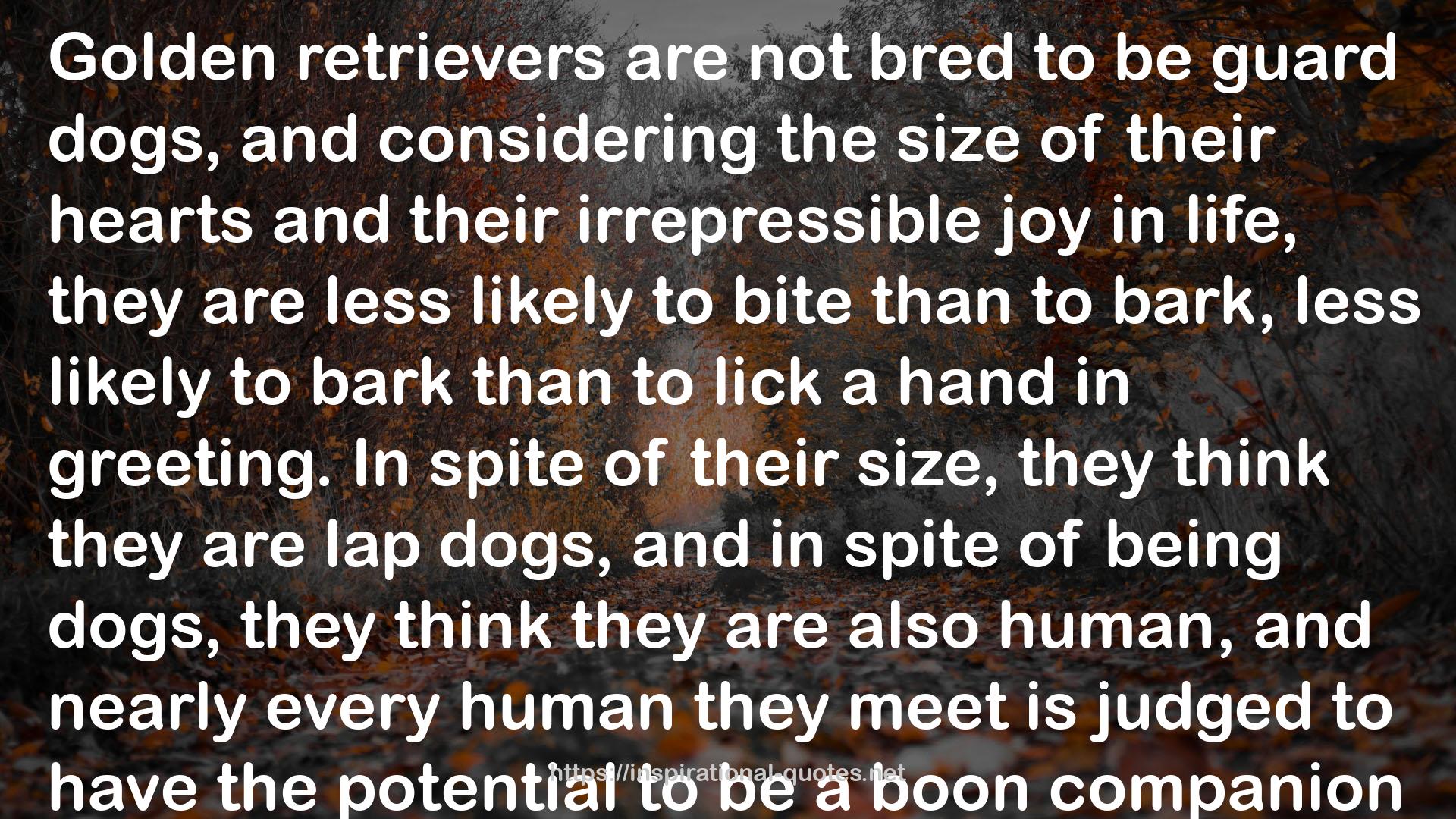 retrievers  QUOTES