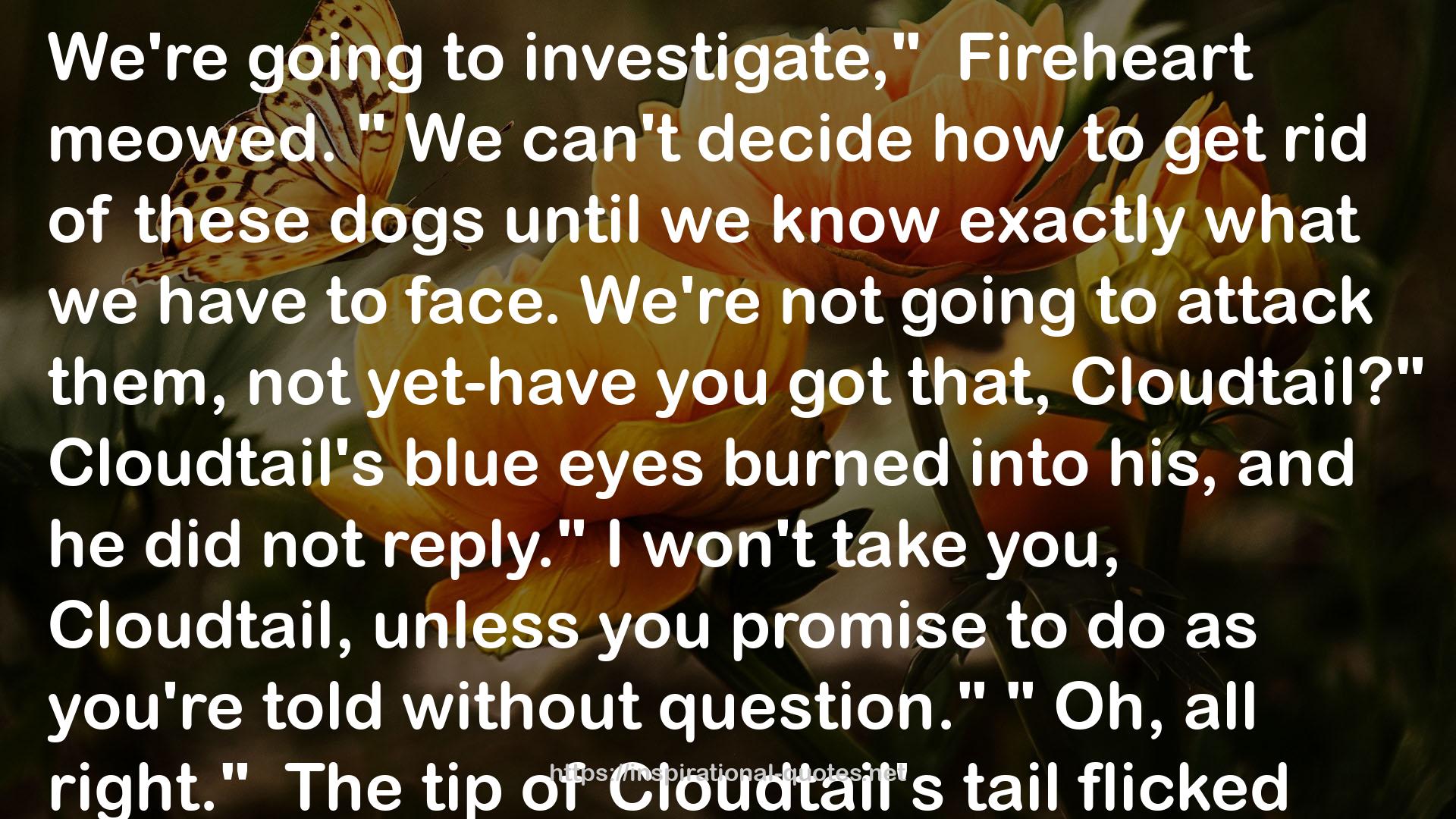 Cloudtail's blue eyes  QUOTES