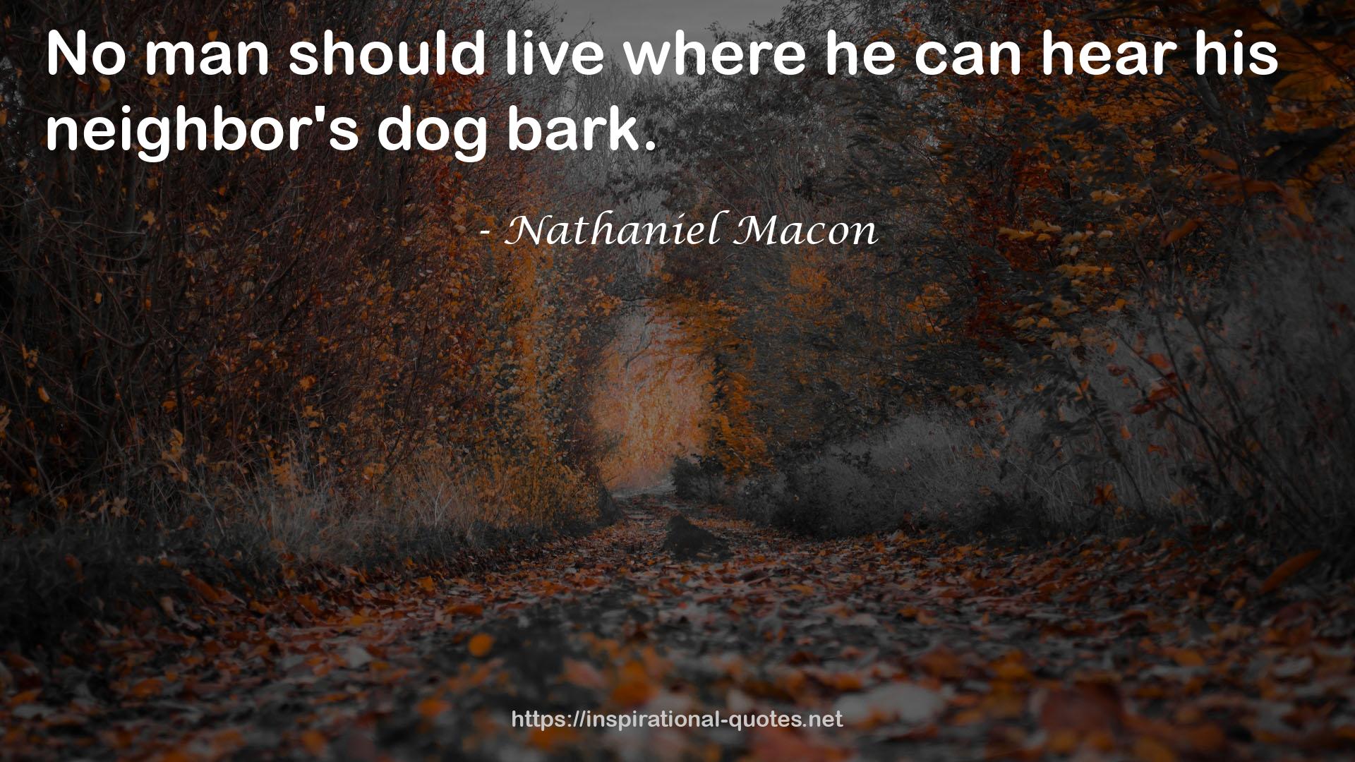 Nathaniel Macon QUOTES