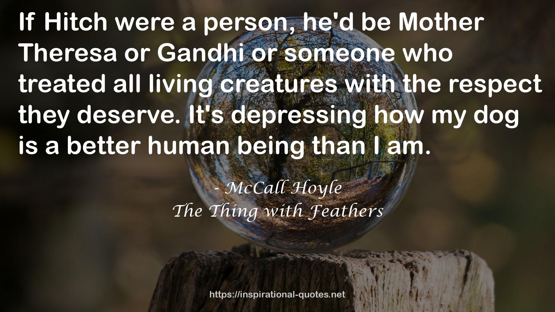 McCall Hoyle QUOTES