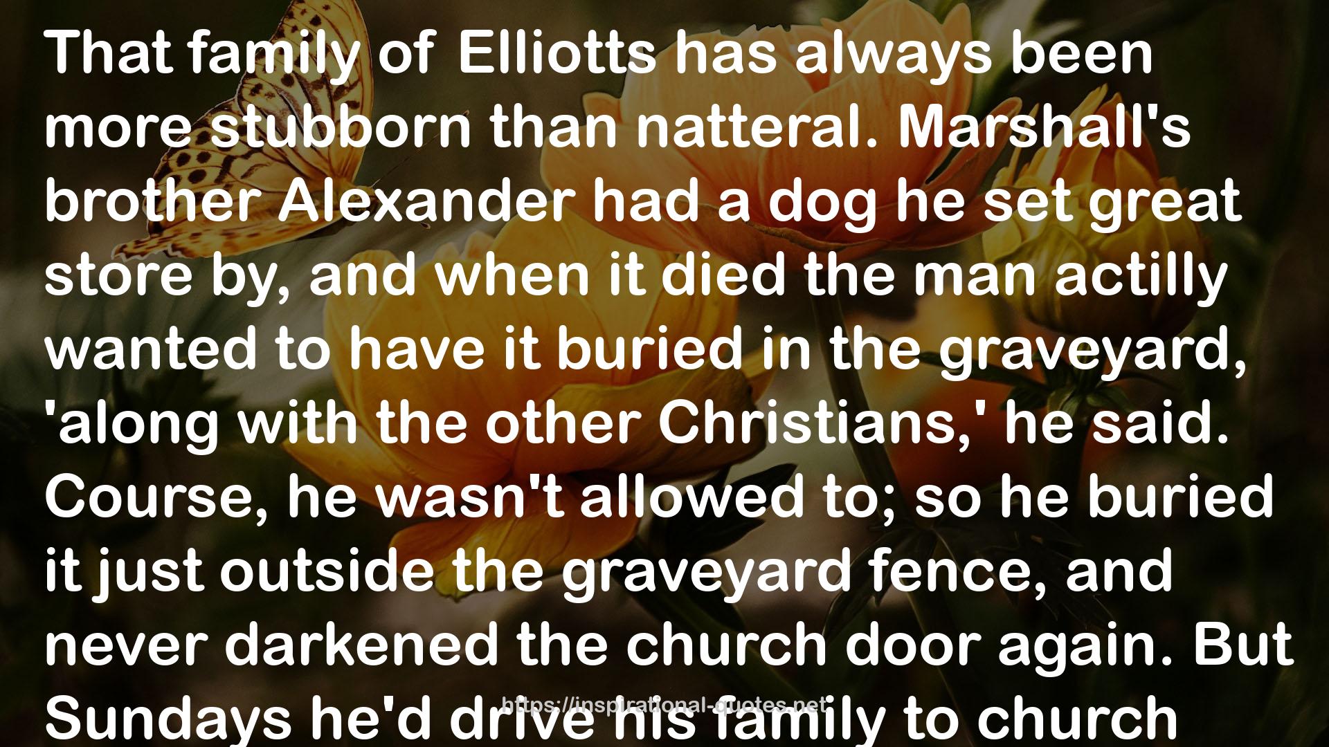 Elliotts  QUOTES