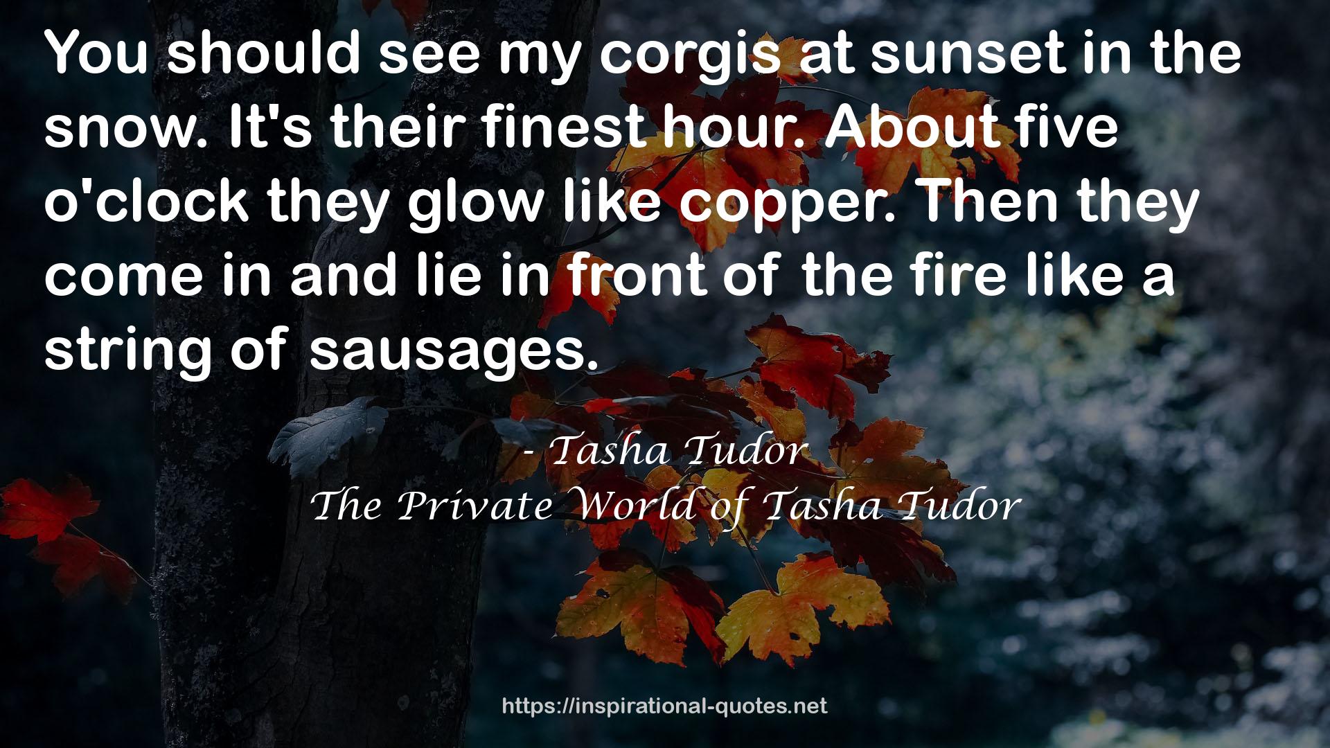 The Private World of Tasha Tudor QUOTES