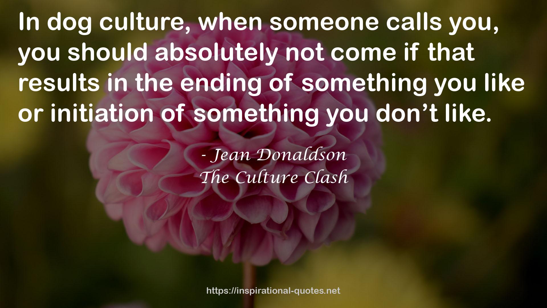 Jean Donaldson QUOTES