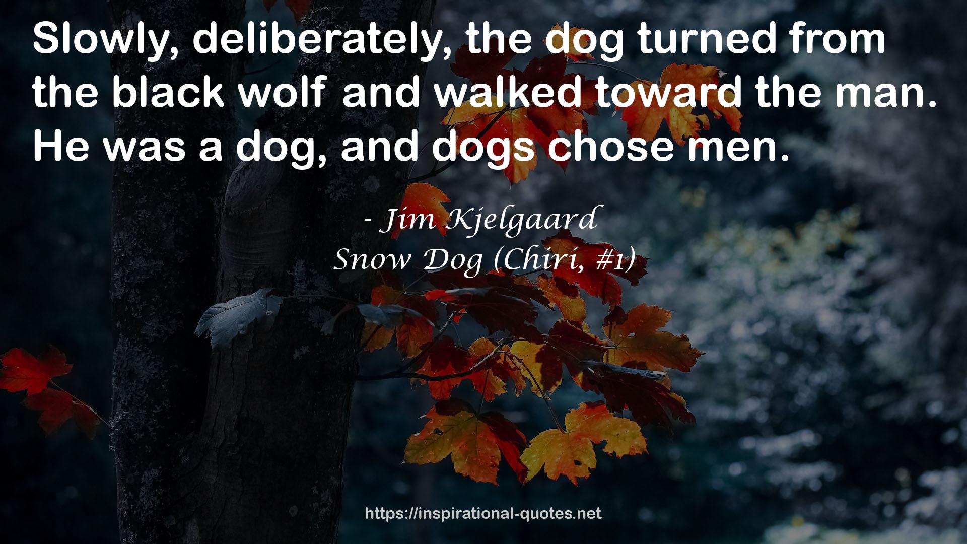 The black wolf  QUOTES
