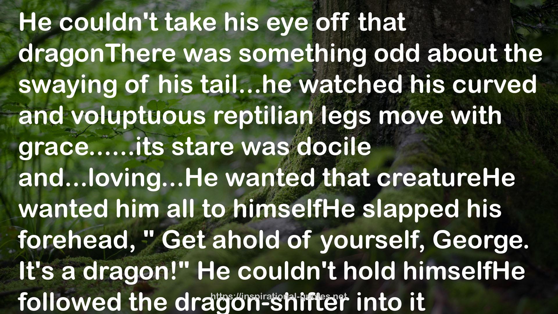 dragonThere  QUOTES