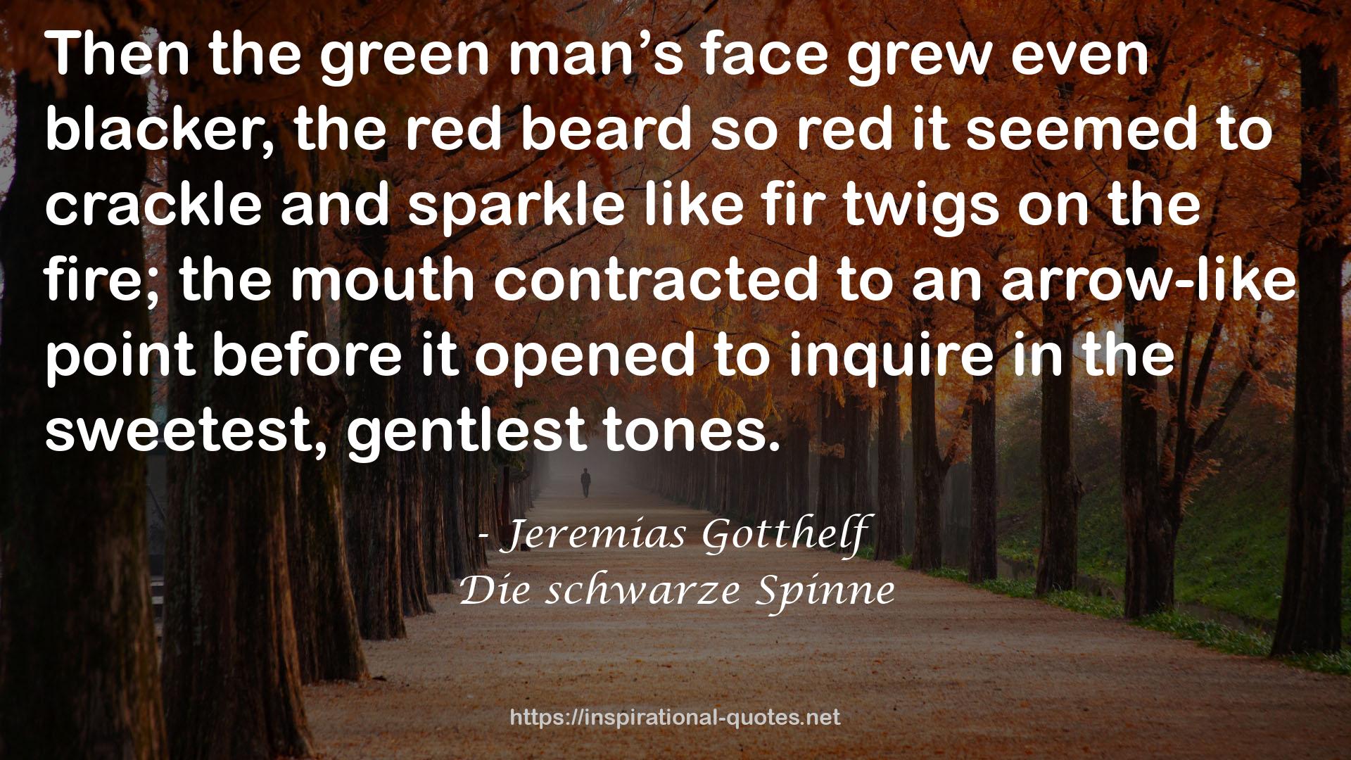 the red beard  QUOTES