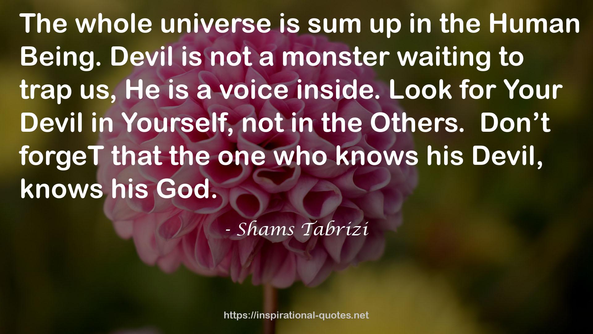 Shams Tabrizi QUOTES