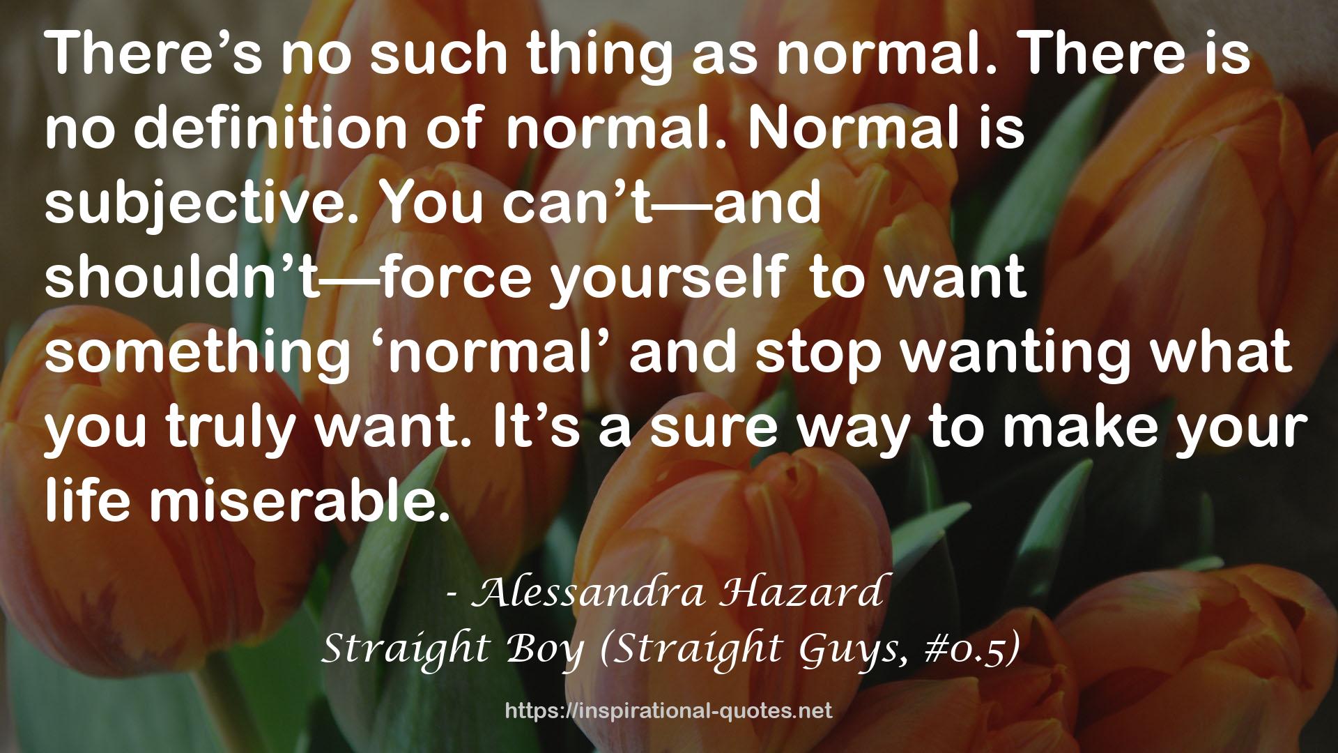 Straight Boy (Straight Guys, #0.5) QUOTES