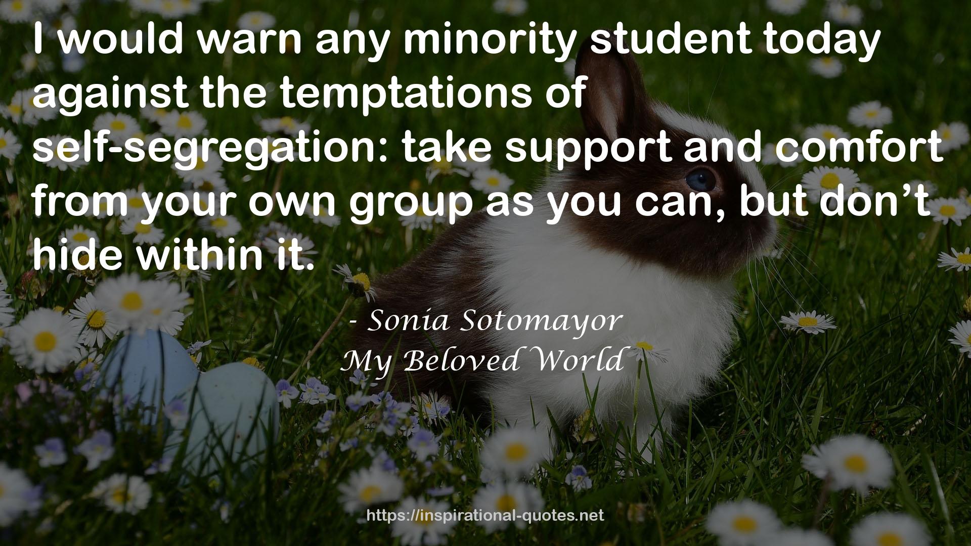 any minority student  QUOTES