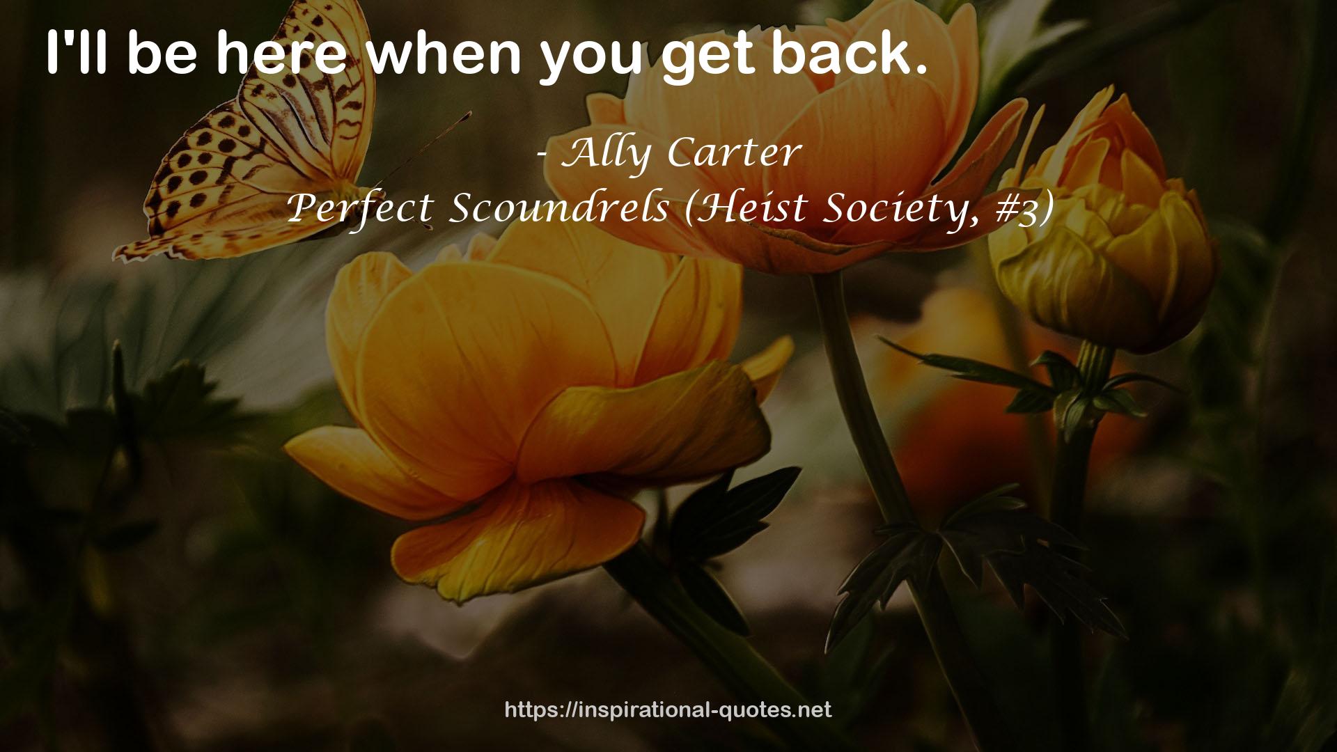 Perfect Scoundrels (Heist Society, #3) QUOTES