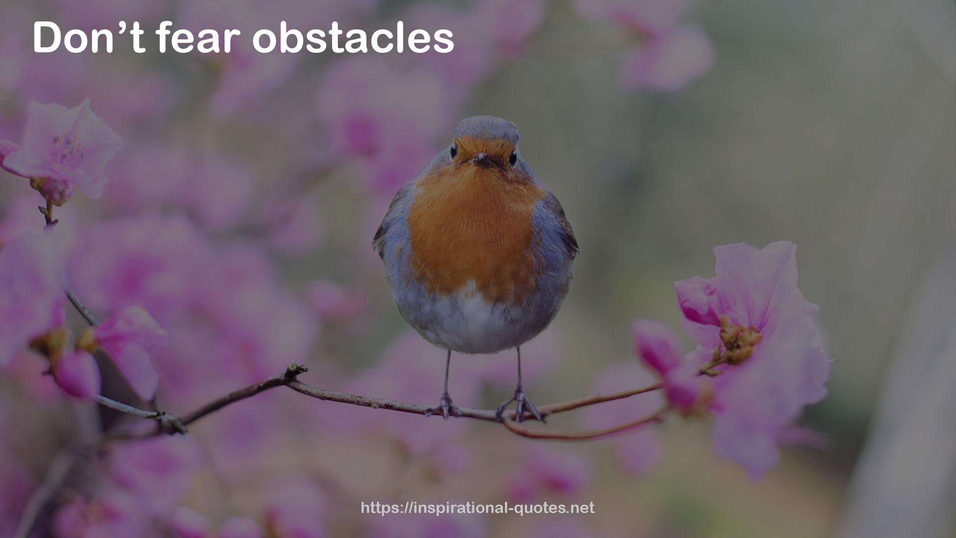 obstacles  QUOTES