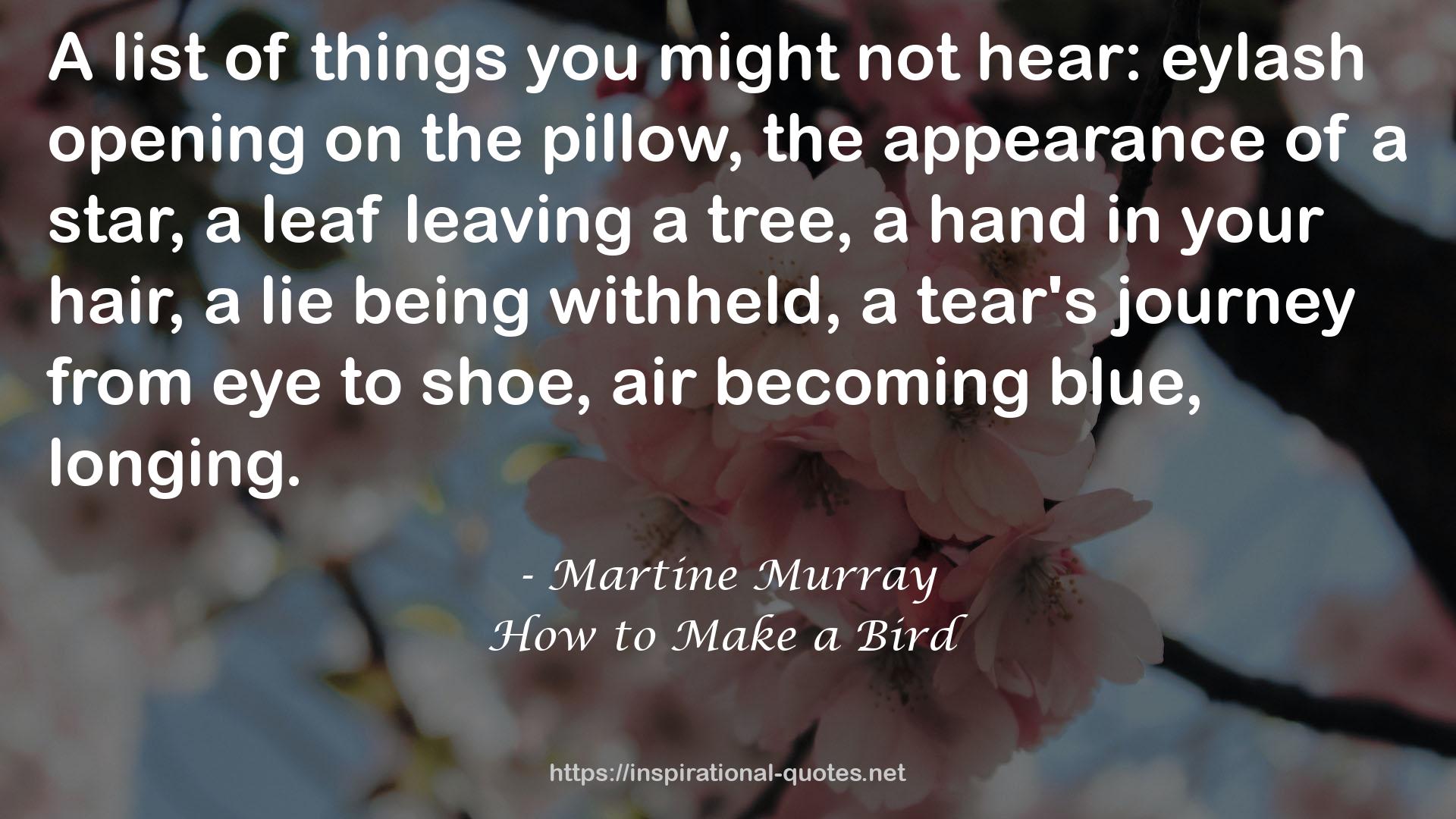 Martine Murray QUOTES