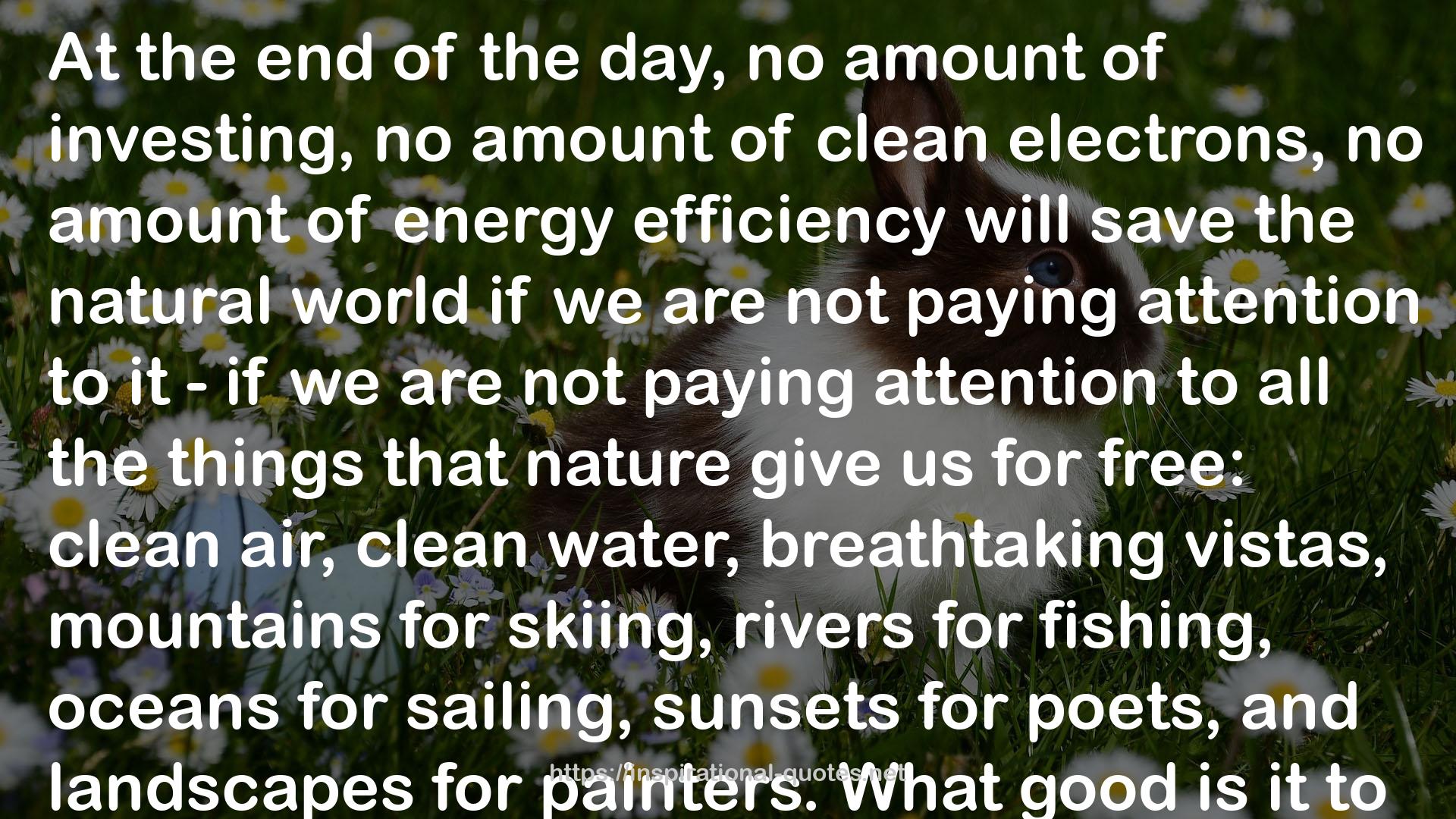 Hot, Flat, and Crowded: Why We Need a Green Revolution – and How It Can Renew America QUOTES