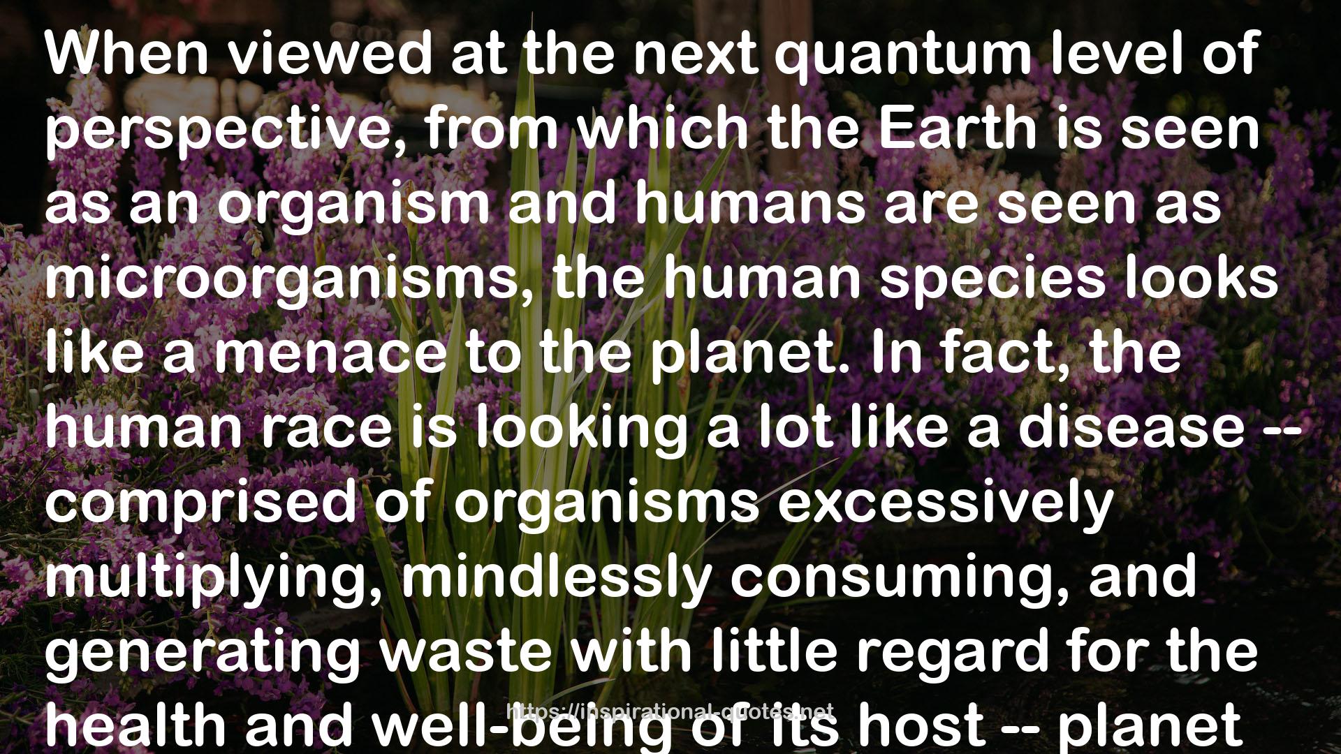 the next quantum level  QUOTES