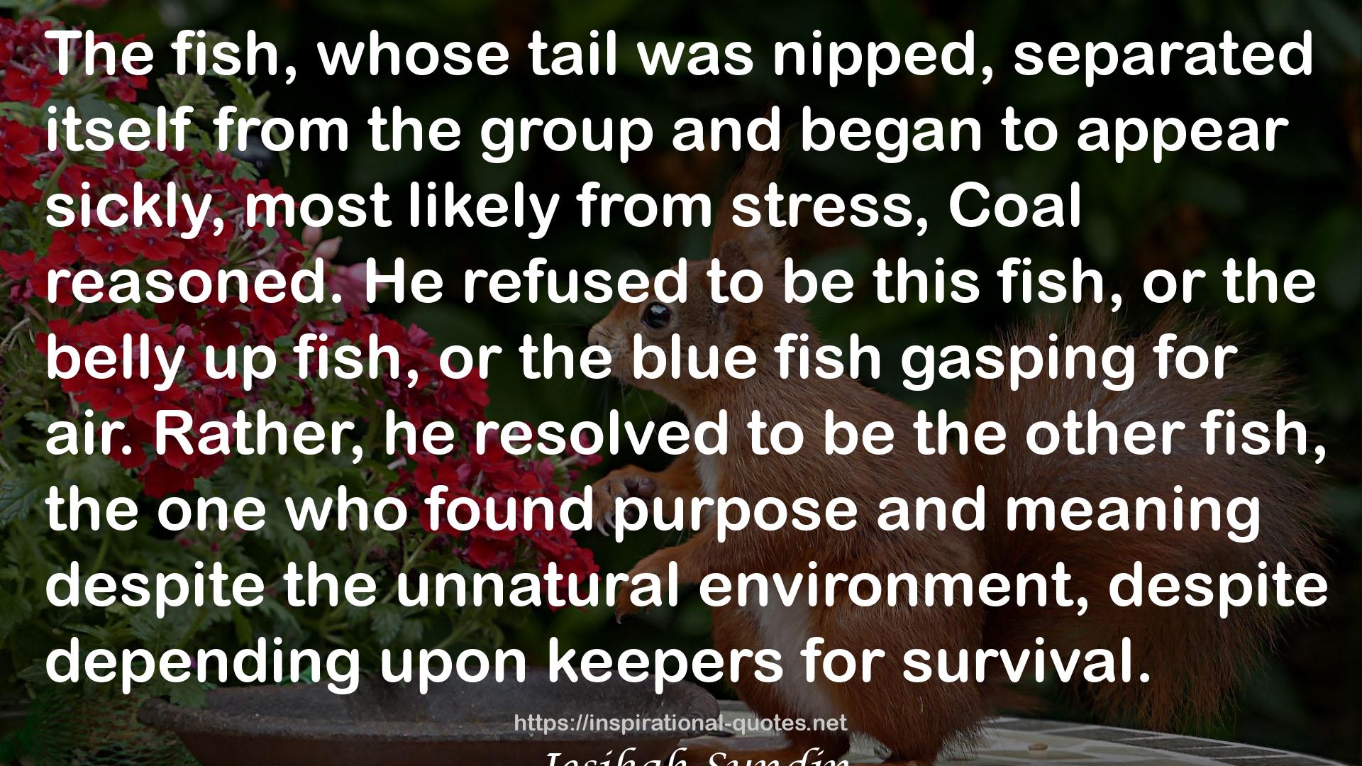 the blue fish  QUOTES