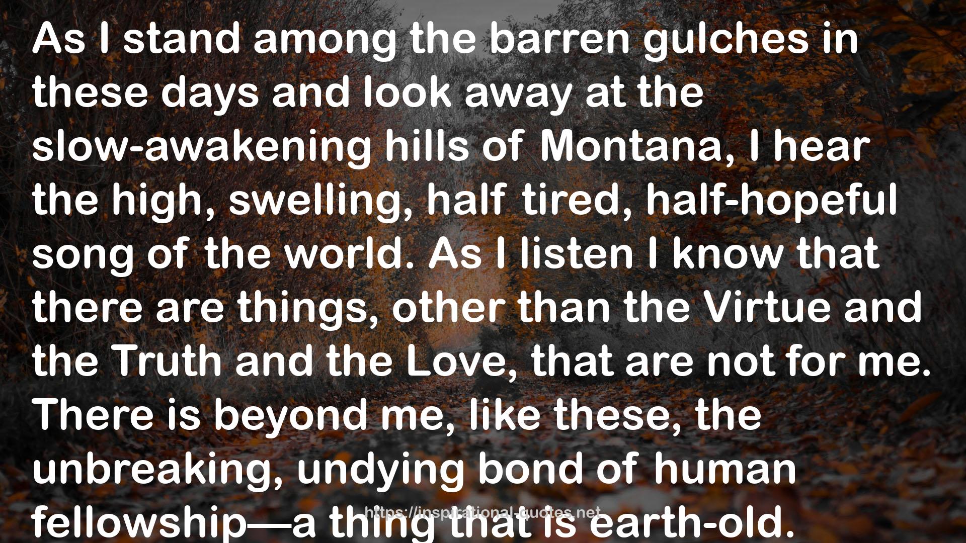 the barren gulches  QUOTES