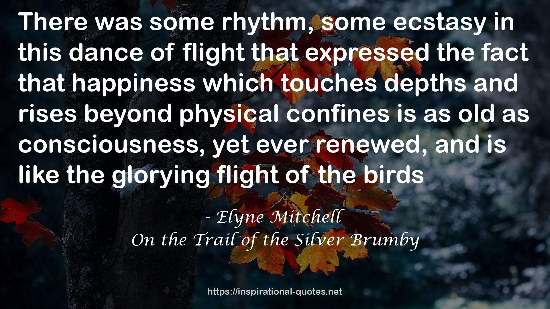 On the Trail of the Silver Brumby QUOTES