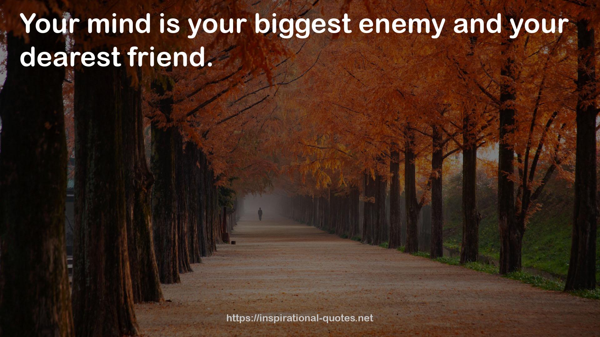 your biggest enemy  QUOTES