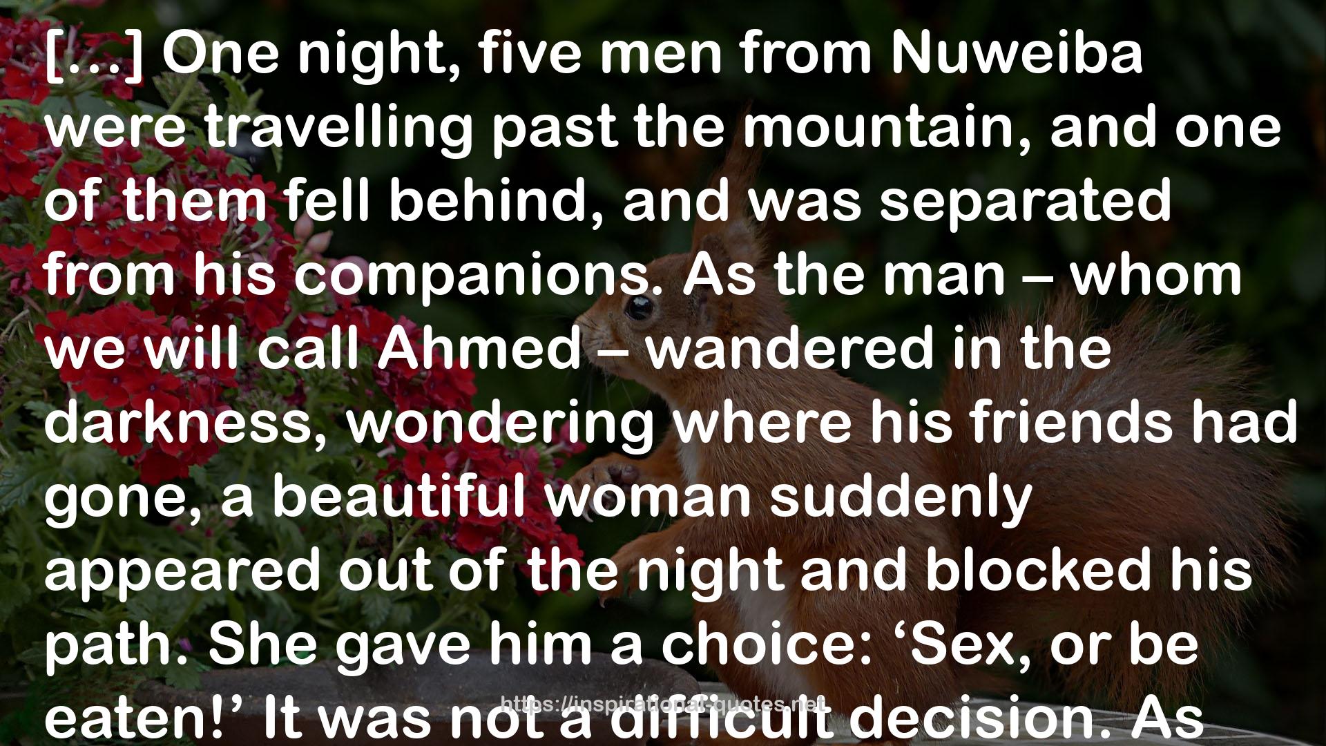 the Bedouins  QUOTES