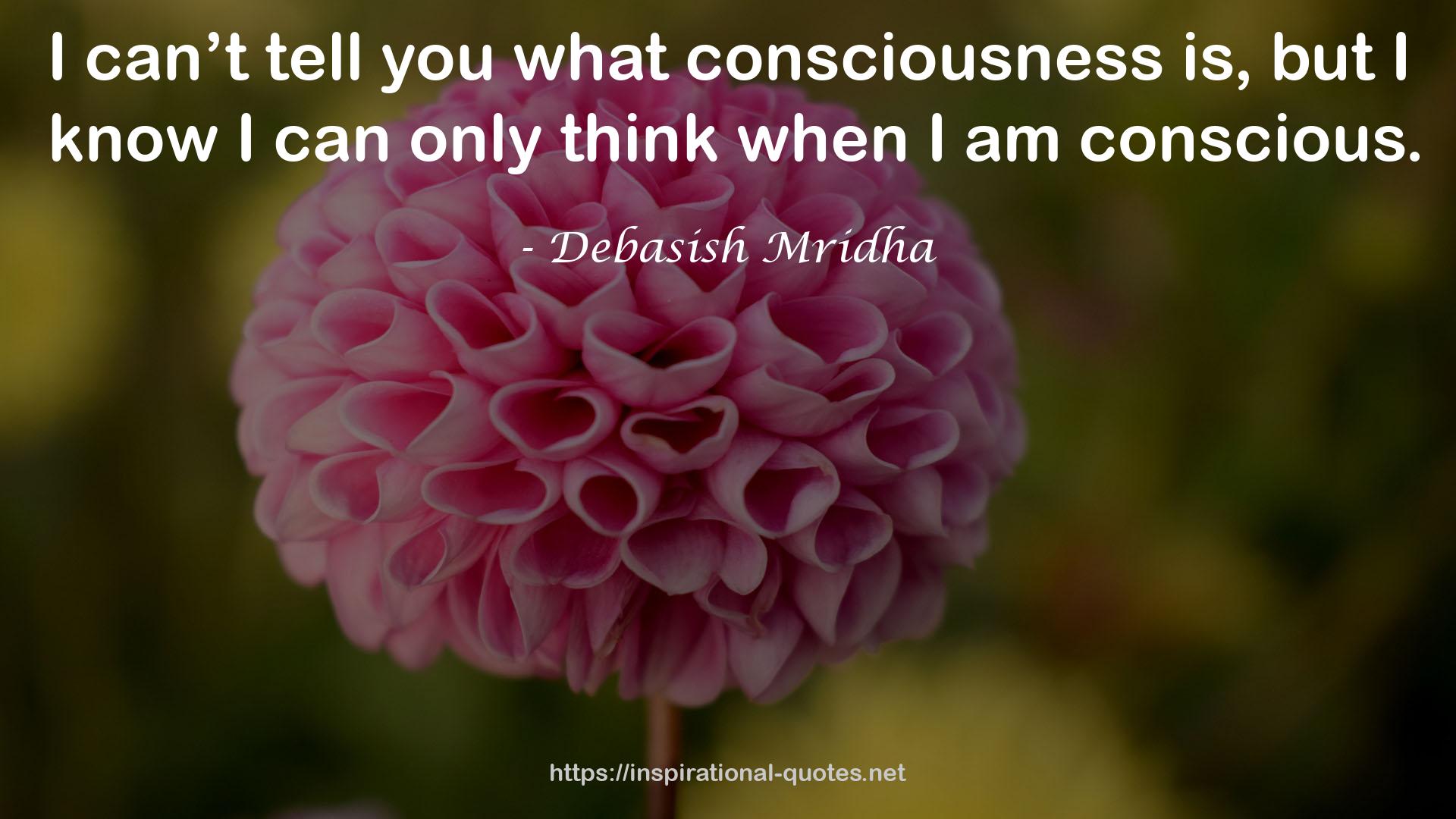 what consciousness  QUOTES