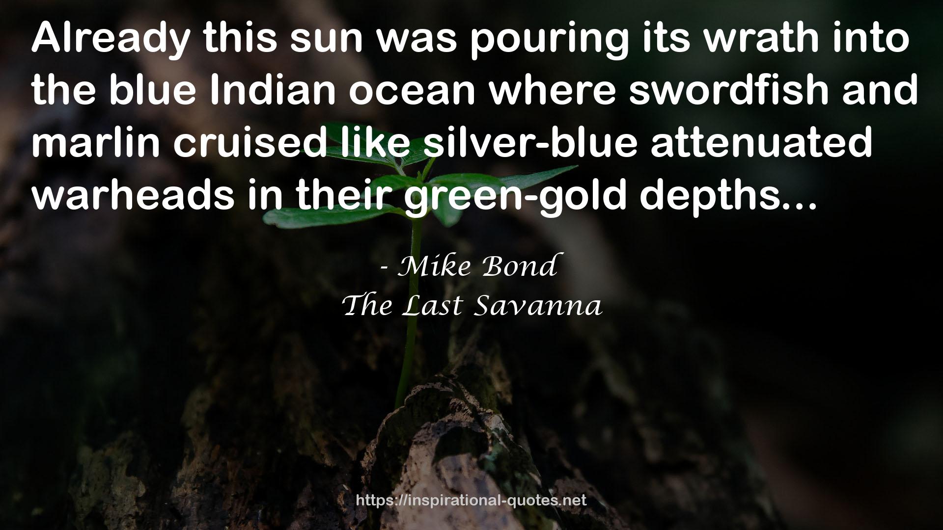 the blue Indian ocean  QUOTES