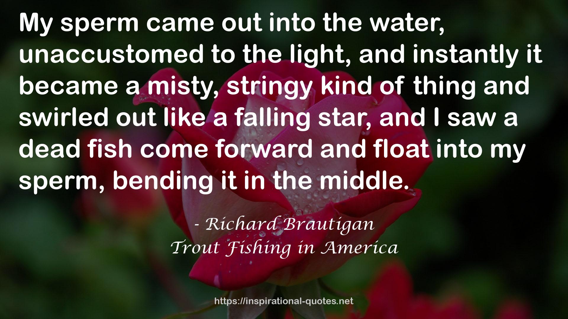 Trout Fishing in America QUOTES