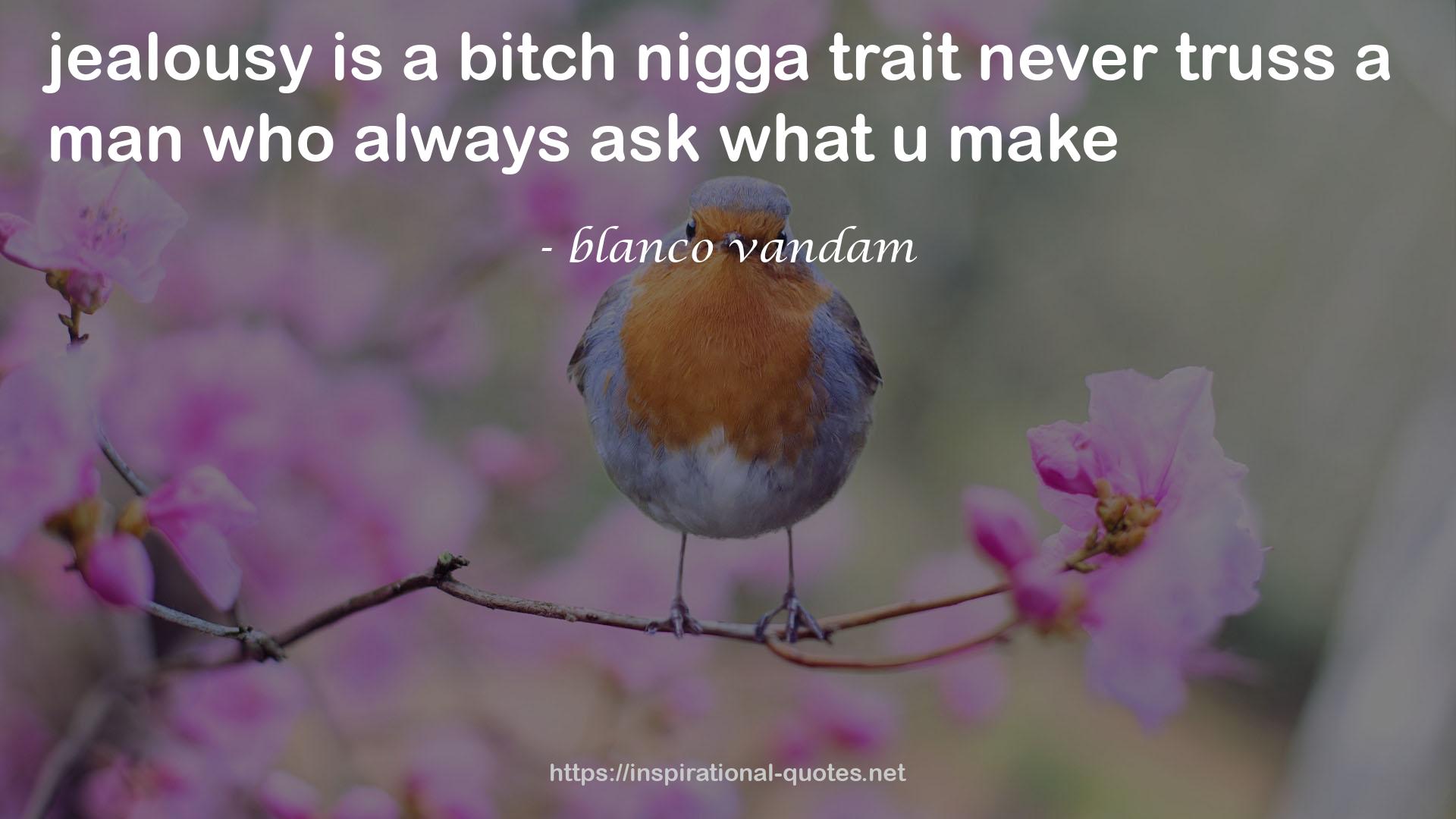 blanco vandam QUOTES