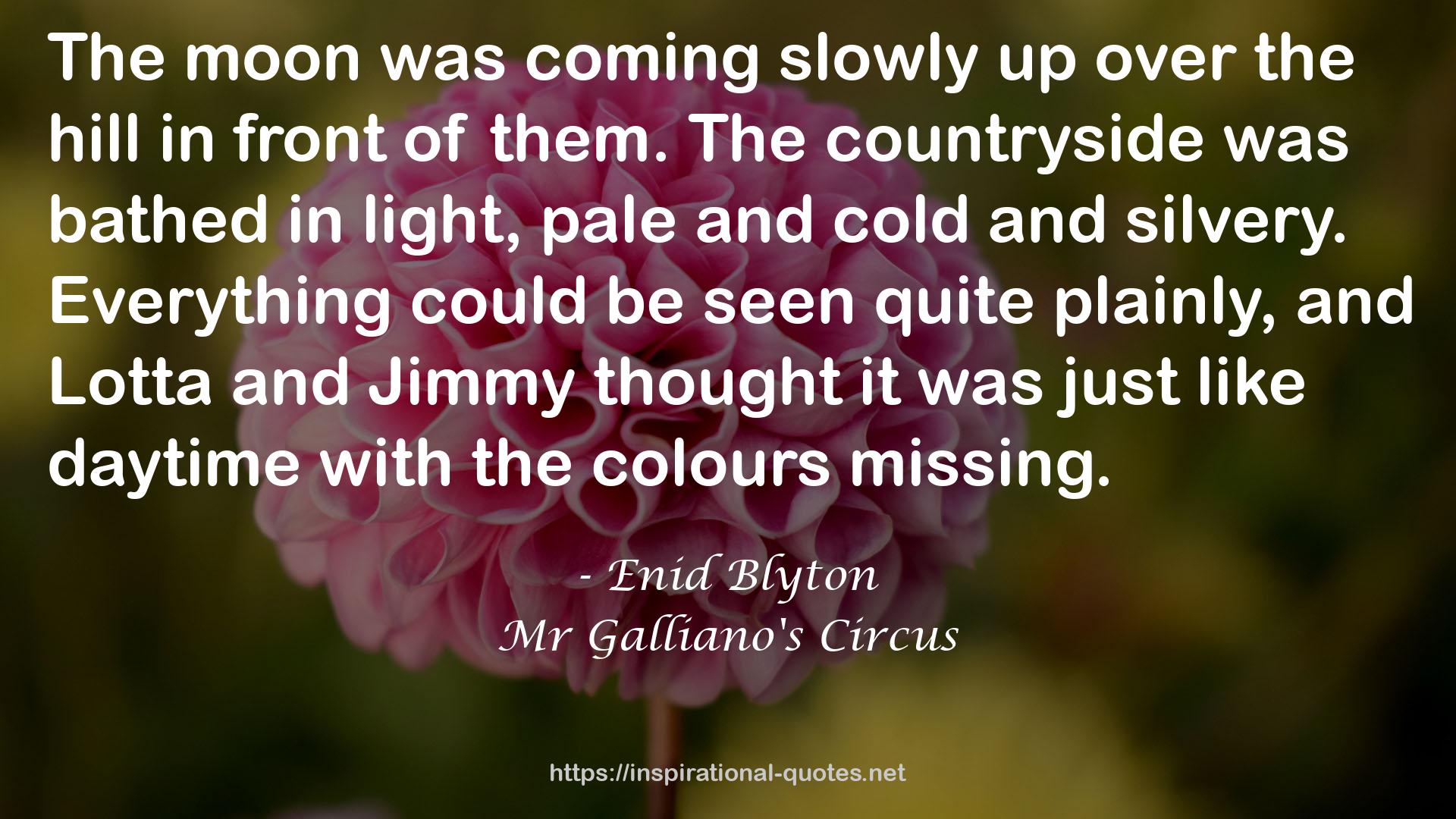 Mr Galliano's Circus QUOTES