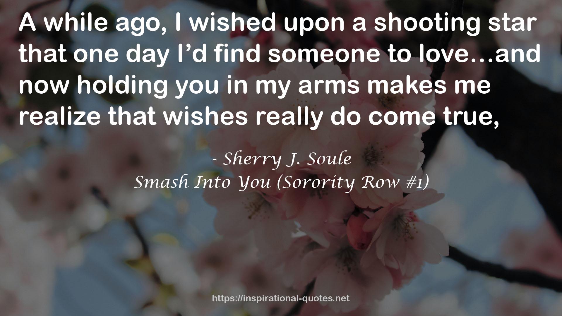 Smash Into You (Sorority Row #1) QUOTES