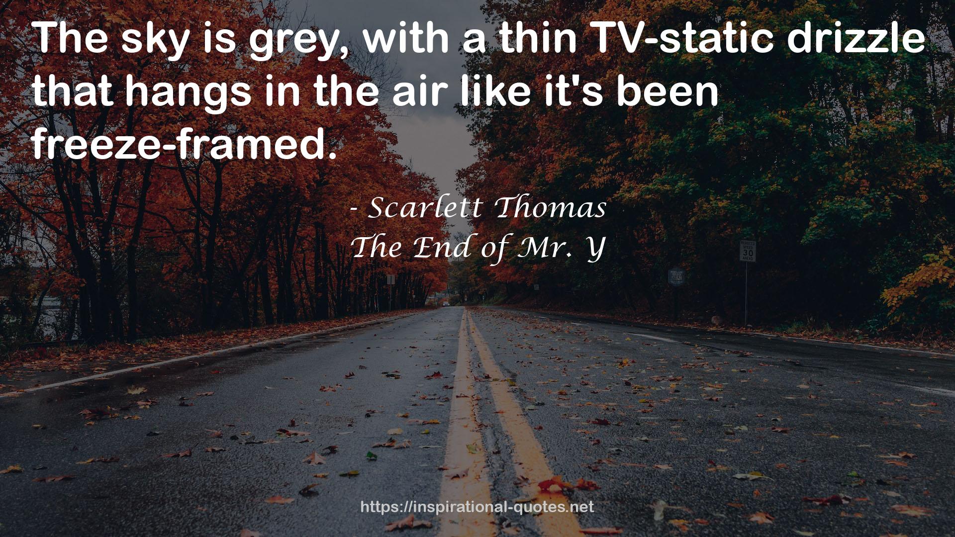 a thin TV-static drizzle  QUOTES