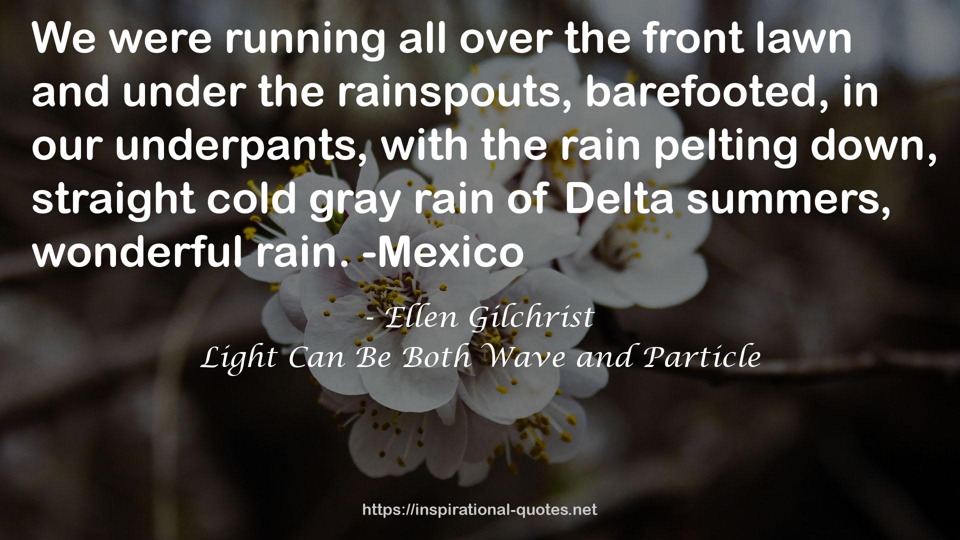 straight cold gray rain  QUOTES