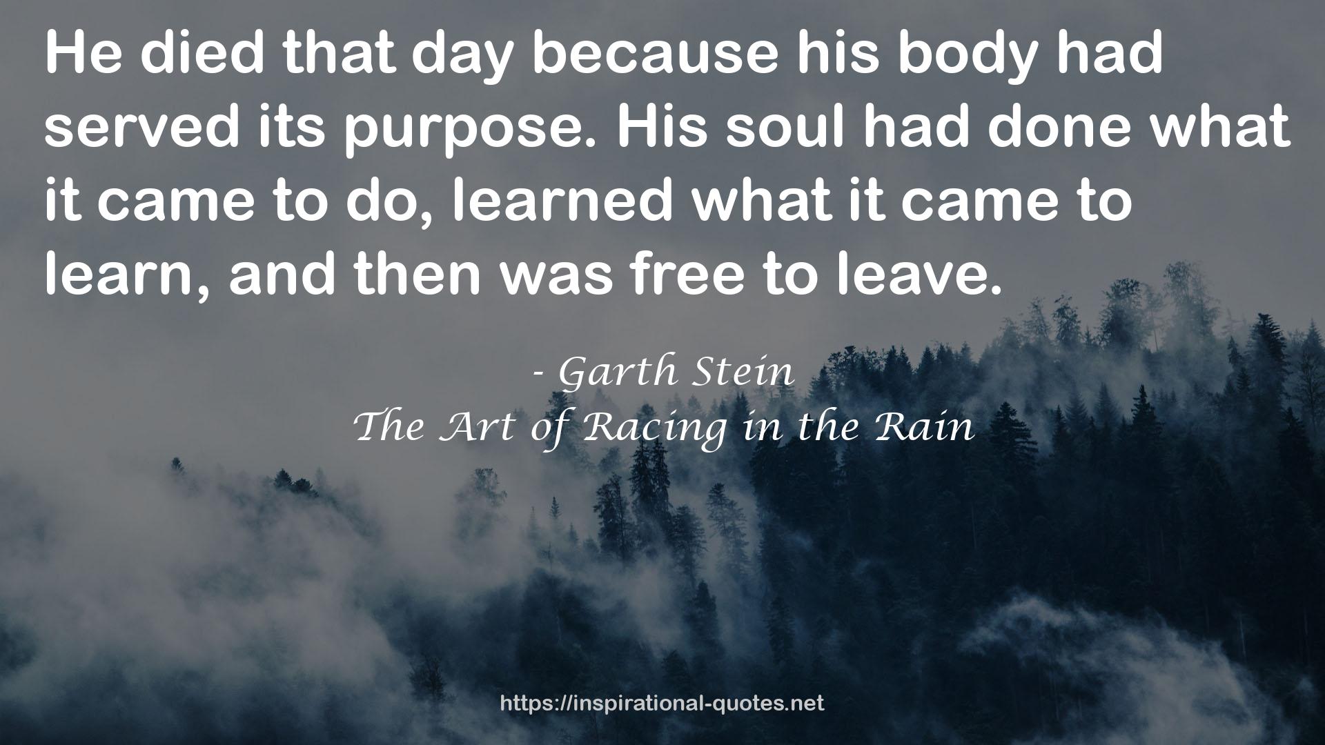 Garth Stein QUOTES