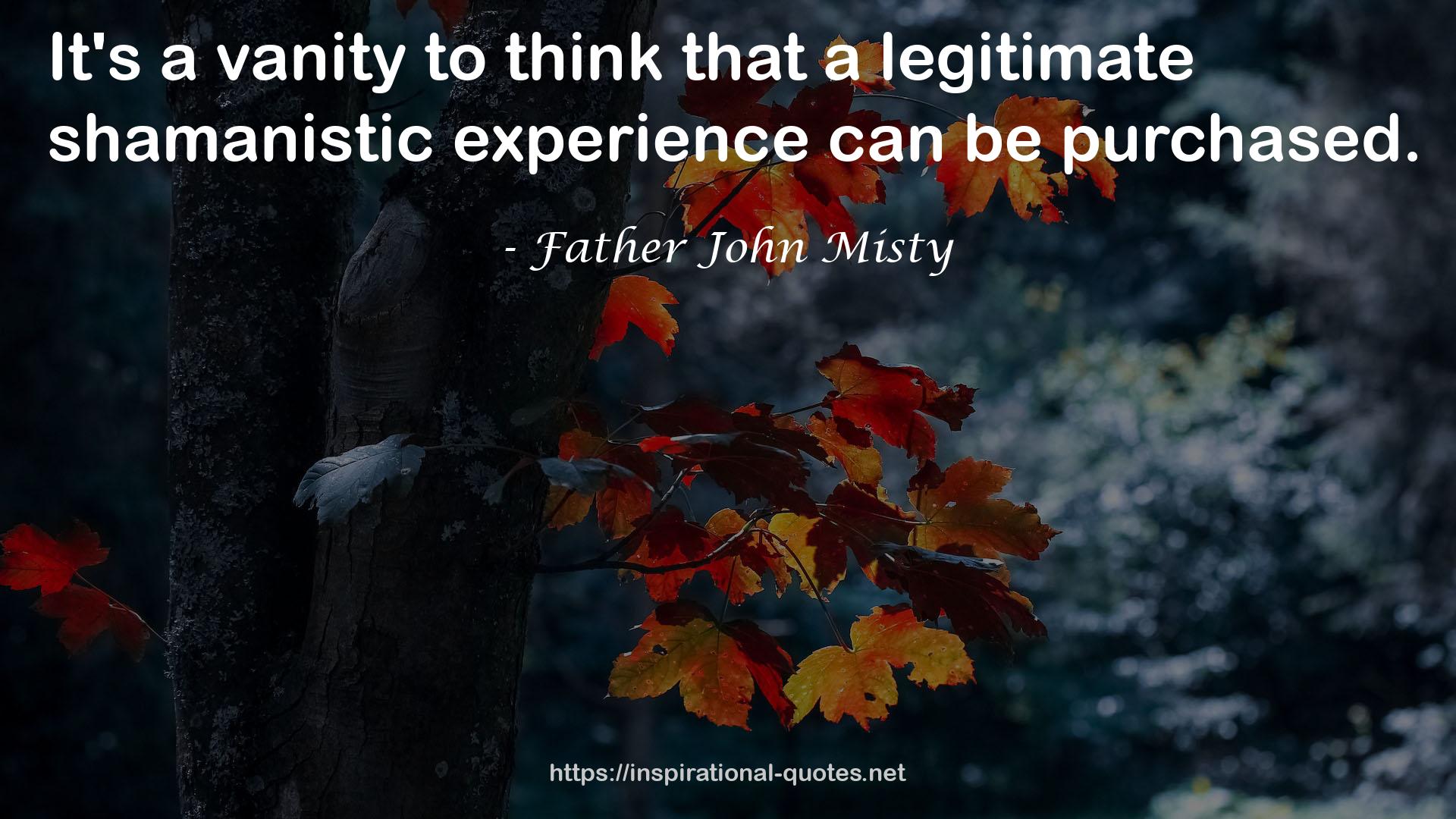Father John Misty QUOTES