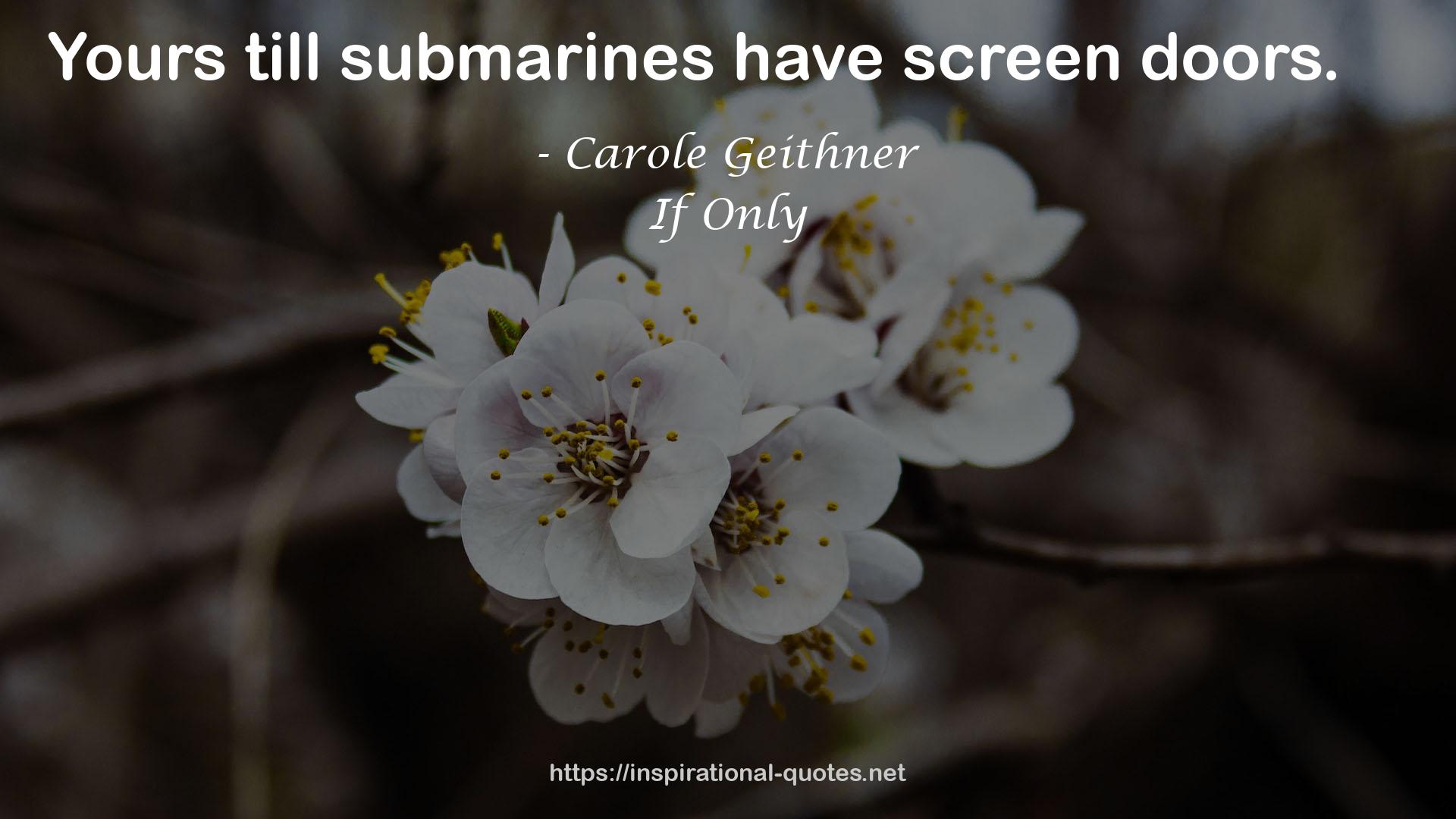 Carole Geithner QUOTES