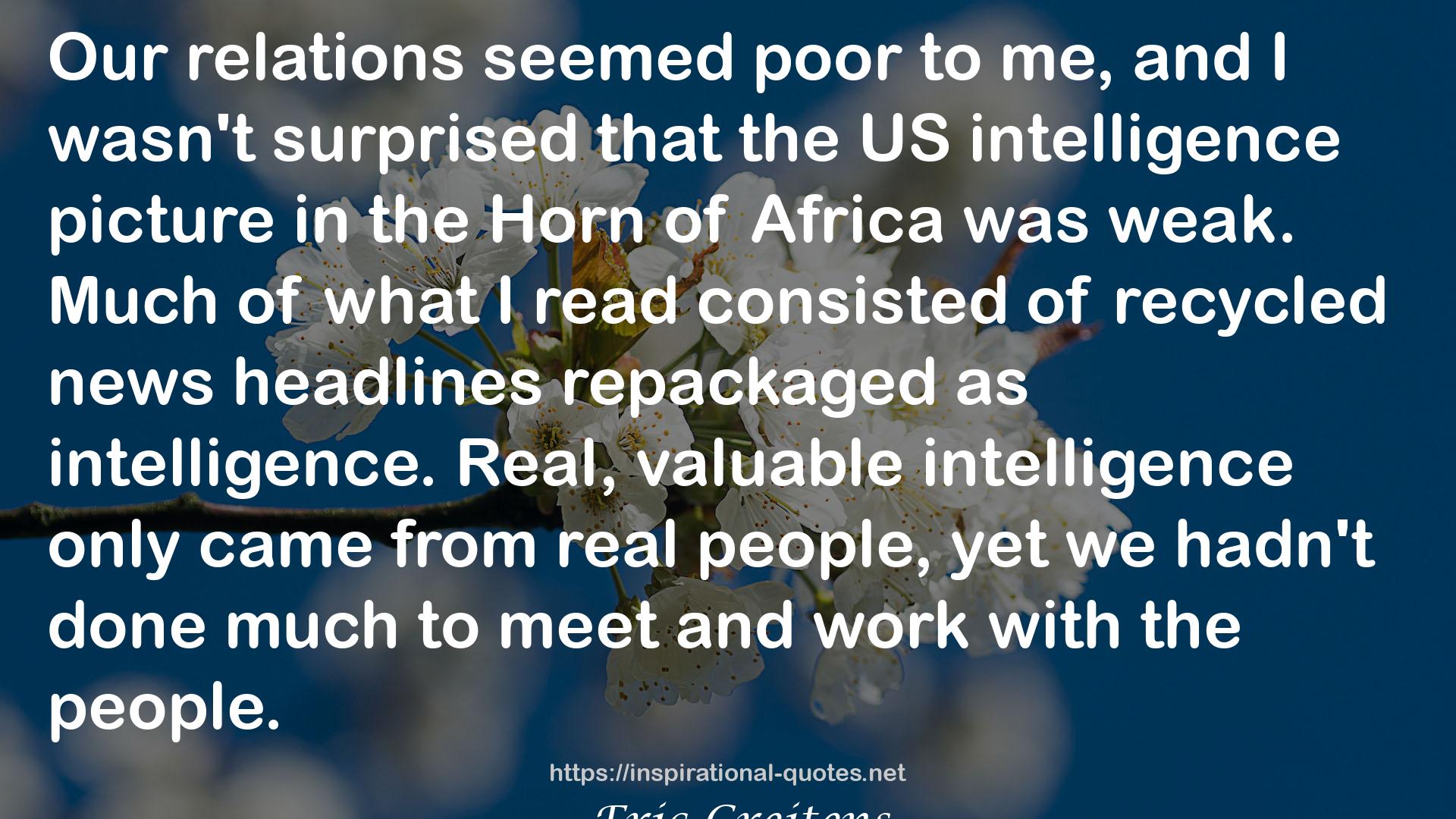 the US intelligence picture  QUOTES