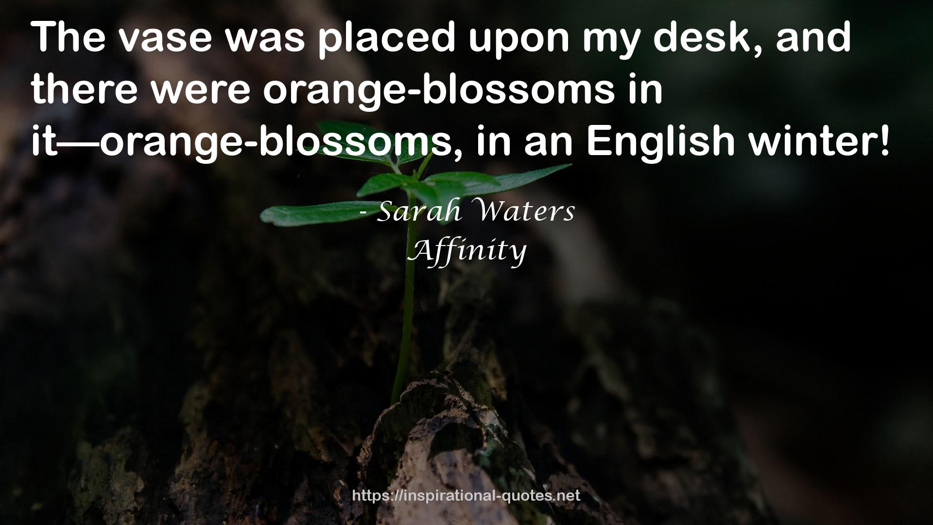 orange-blossoms  QUOTES