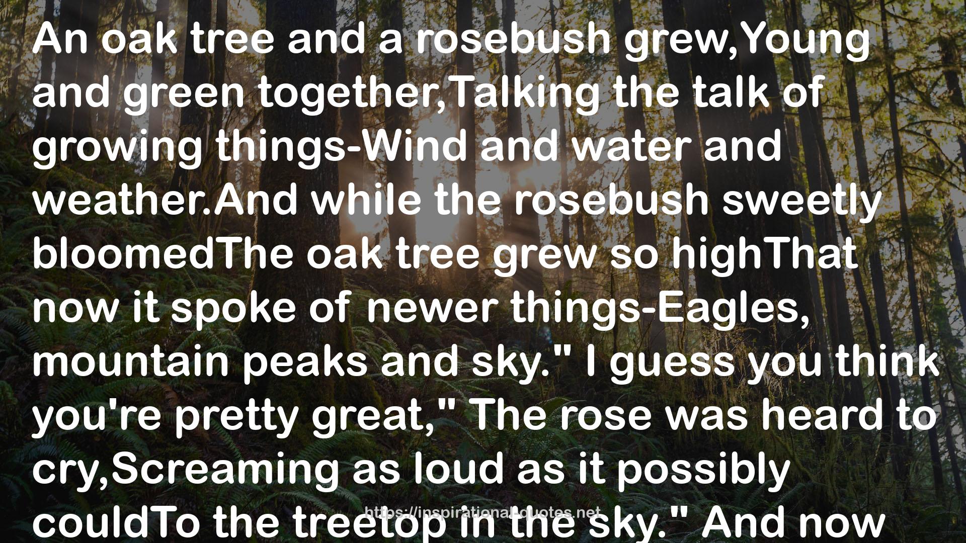 the rosebush  QUOTES