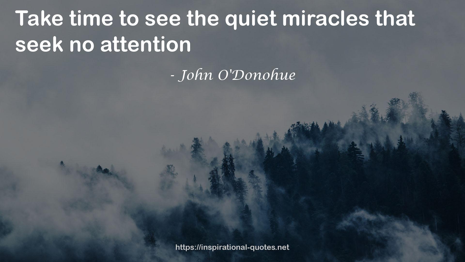 the quiet miracles  QUOTES