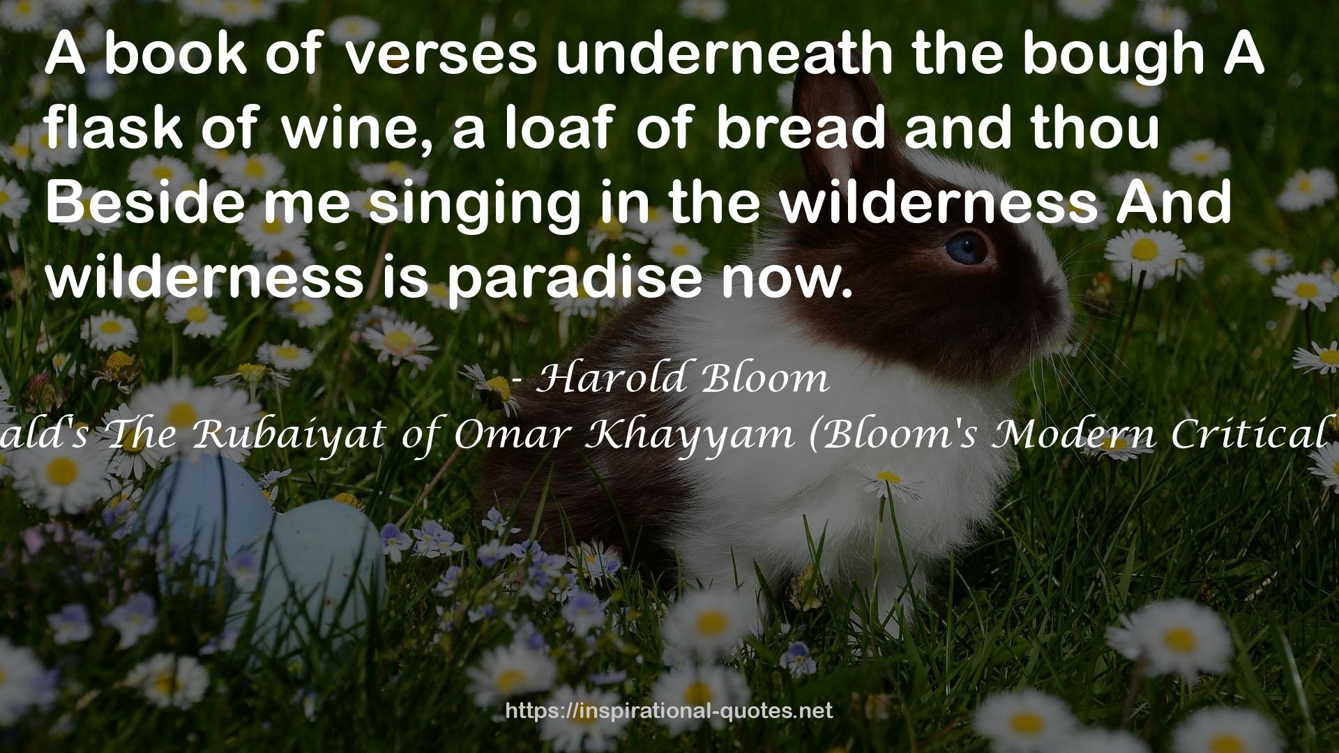 Edward Fitzgerald's The Rubaiyat of Omar Khayyam (Bloom's Modern Critical Interpretations) QUOTES
